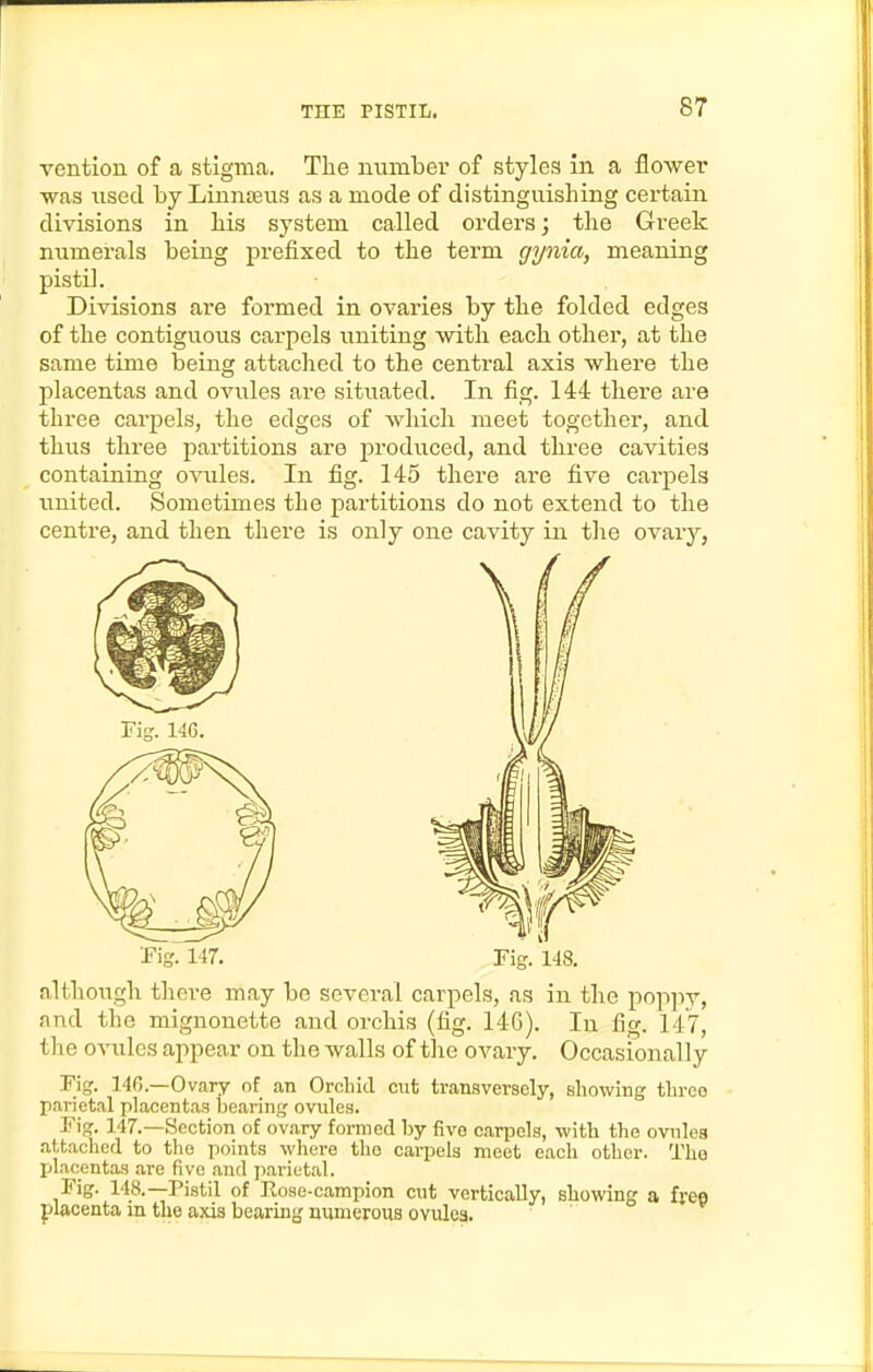 vention of a stigma. The numbei' of styles in a flower was used by LinnsBus as a mode of distinguishing certain divisions in his system called orders; the Greek numerals being prefixed to the term gynia, meaning pistil. Divisions are formed in ovaries by the folded edges of the contiguous carpels uniting with each other, at the same time being attached to the central axis where the placentas and ovules are situated. In fig. 144 there are three carpels, the edges of which meet together, and thus three partitions are jDroduced, and three cavities containing ovules. In fig. 145 there are five carpels united. Sometimes the partitions do not extend to the centre, and then there is only one cavity in tlie ovary, Tig. 147. Tig. 148. although there may be sevei-al carpels, as in the poppy, and the mignonette and orchis (fig. 146). In fig. 147, tlie ovules appear on the walls of the ovary. Occasionally Fig. 146.—Ovary of an Orchid cut transversely, showing three parietal placentas bearing ovules. 147.—Section of ovary formed by five carpels, with the ovules attaclicd to the points where the carpels meet each other. The placentas are five and parietal. Fig. 148.—Pistil of Rose-campion cut vertically, showing a free placenta m the axis bearing numerous ovules.