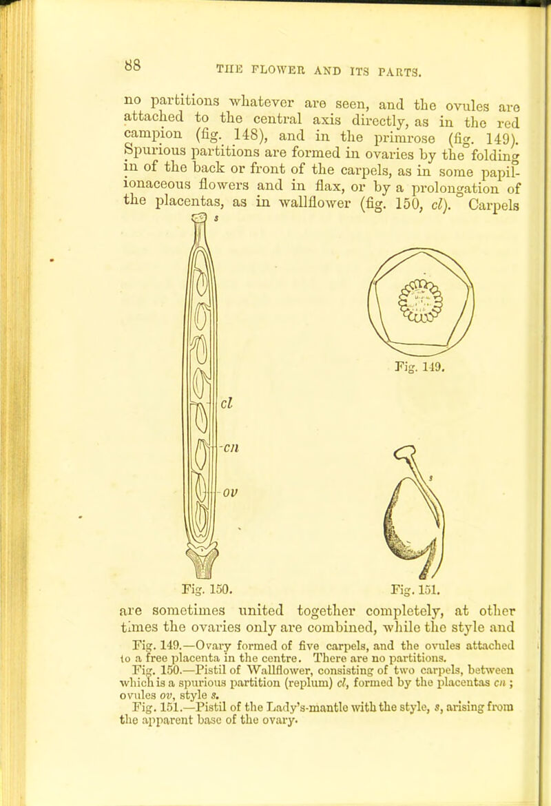 no partitions whatever are seen, and the ovules are attached to the central axis directly, as in tlie red campion (fig. 148), and in the primrose (fig. 149). Spurious partitions are formed in ovaries by the° folding in of the back or front of the carpels, as in some papiE lonaceous flowers and in flax, or by a prolongation of the placentas, as in wallflower (fig. 150, cl). Carpels -cn 150. Fi- 149, Pig. 151. are sometimes united together completely, at other times the ovaries only are combined, wliile the style and Fig. 149.—Ovary formed of five carpels, and tlie o\Tile3 attached to a free placenta in the centre. There are no partitions. Fig. 150.—Pistil of Wallflower, consisting of two carpels, between which is a spurious partition (replum) cl, formed by the {alacentas cn ; ovules ov, style s. Fig. 151.—Pistil of the Lady's-mantle with the stylo, s, arising from the apparent base of the ovary.