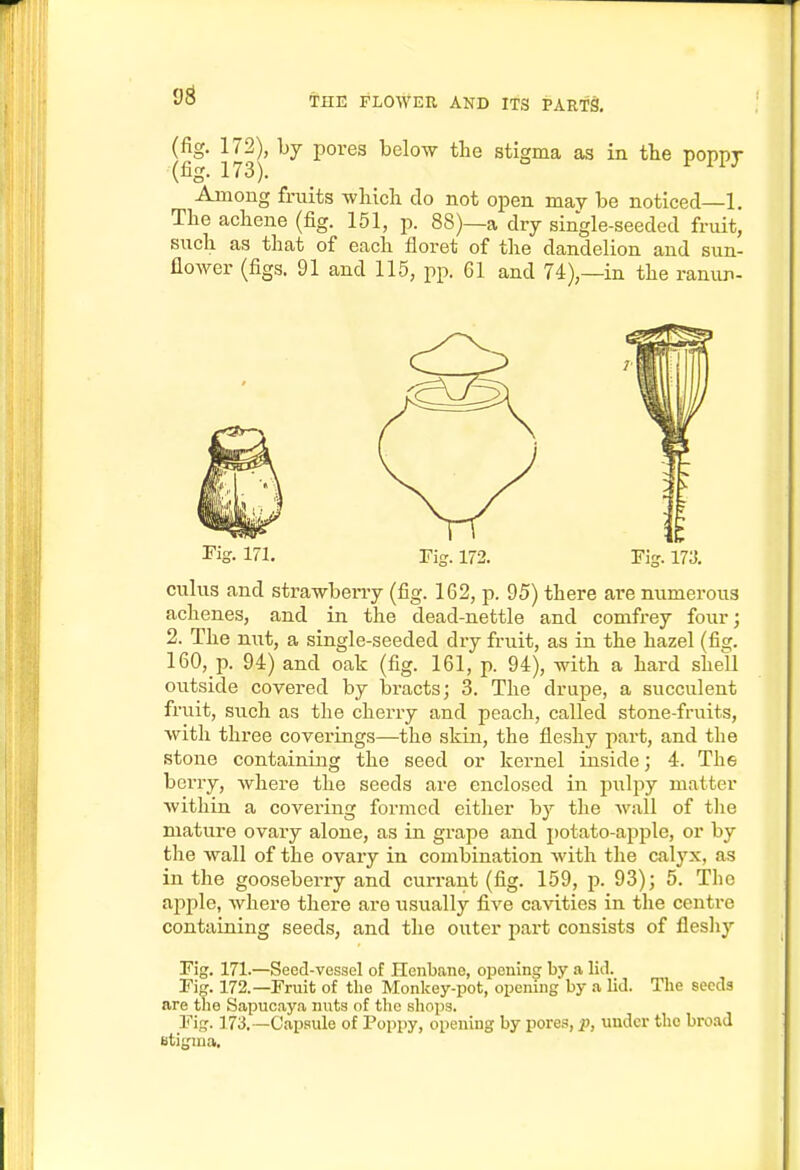 (fig. 172), by pores below the stigma as in the poppr (fig. 173). Among fruits -which do not open may be noticed—1. The achene (fig. 151, p. 88)—a dry single-seeded fruit, such as that of each floret of the dandelion and sun- flower (figs. 91 and 115, pp. 61 and 74),—in the ranun- culus and strawbeny (fig. 162, p. 95) there are numerous achenes, and in the dead-nettle and comfrey fourj 2. The nut, a single-seeded dry fruit, as in the hazel (fisj. 160,_p. 94) and oak (fig. 161, p. 94), with a hard shell outside covered by bracts; 3. The drupe, a succulent fruit, such as the cherry and peach, called stone-fruits, with three coverings—the skin, the fleshy part, and the stone containing the seed or kernel inside; 4. The berry, where the seeds are enclosed in pulpy matter within a covering formed either by the wall of the mature ovary alone, as in grape and potato-apple, or by the wall of the ovary in combination with the calyx, as in the gooseberry and currant (fig. 159, p. 93); 5. Tlie apple, where there are usually five cavities in the centre containing seeds, and the outer part consists of fleshy Fig. 171.—Seed-vessel of Henbane, opening by a lid. Fig. 172.—Fruit of the Monkey-pot, opening by a lid. The seeds are the Sapucaya nuts of tlie sliops. Fig. 173.—Capsule of Poppy, opening by pores, p, under the broad Btigma.