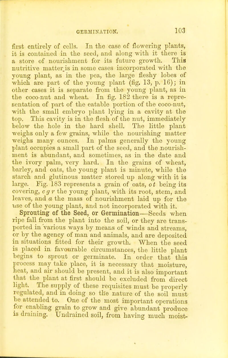 first entirely of cells. In the case of flowering plants, it is contained in the seed, and along with it there is a store of nouxishment for its future growth. Thia nutritive matter is in some cases incorporated with the young plant, as in the pea, the large fleshy lobes of which are part of the young plant (fig. 13, p. 16); in other cases it is separate from the young plant, as in the coco-nut and wheat. In fig. 182 there is a repre- sentation of part of the eatable portion of the coco-nut, with the small embryo plant lying in a cavity at the top. This cavity is in the flesh of the nut, immediately below the hole in the hard shell. The little plant weighs only a few grains, while the nourishing matter weighs many ounces. In palms generally the young plant occupies a small part of the seed, and the nourish- ment is abundant, and sometimes, as in the date and the ivory palm, very hard. In the grains of wheat, barley, and oats, the young plant is minute, while the starch and glutinous matter stored np along with it is large. Fig. 183 represents a grain of oats, ot being its covering, cgr the young plant, with its root, stem, and leaves, and a the mass of nourishment laid up for the use of the young plant, and not incorporated with it. Sprouting of the Seed, or Germination—Seeds when ripe fall from the plant into the soil, or they are trans- ported in various ways by means of winds and streams, or by the agency of man and animals, and are deposited in situations fitted for their growth. When the seed is placed in favourable circumstances, the little plant begins to sprout or germinate. In order that thia process may take place, it is necessary that moisture, heat, and air should be present, and it is also important that the plant at first should be excluded from direct light. The supply of these requisites must be properly regulated, and in doing so the nature of the soil must be attended to. One of the most important operations for enabling grain to grow and give abundant produce is draining. Undrained soil, from having much moist-