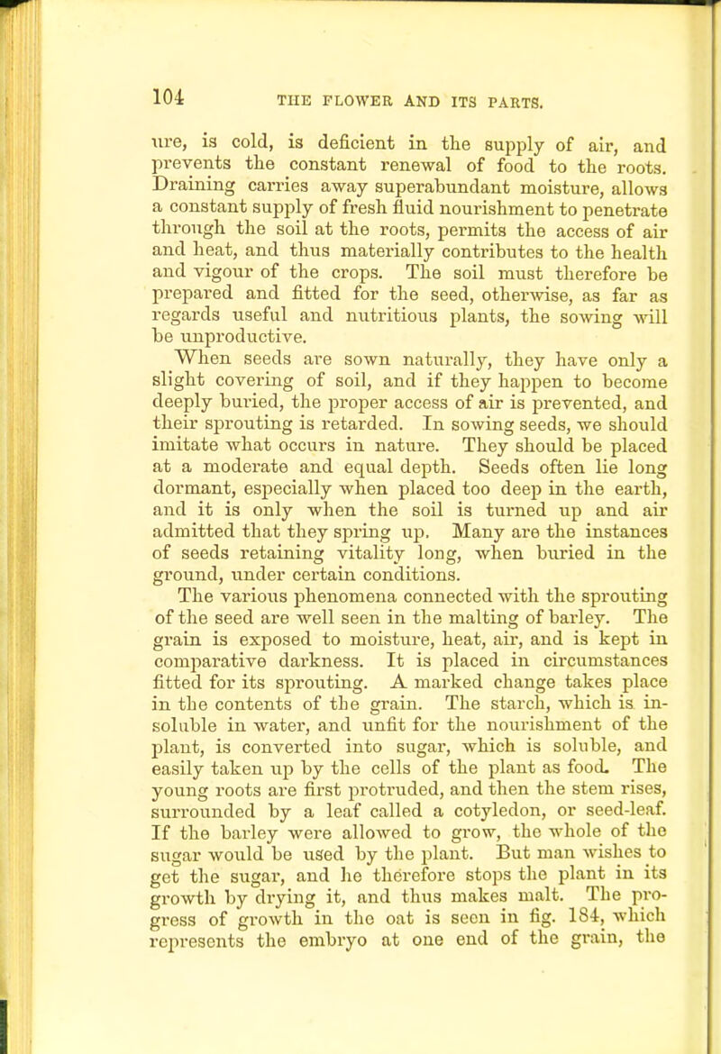 Tire, is cold, is deficient in the supply of air, and prevents the constant renewal of food to the roots. Draining carries away superabundant moisture, allows a constant supply of fresh fluid nourishment to penetrate through the soil at the roots, permits the access of air and heat, and thus materially contributes to the health and vigour of the crops. The soil must therefore be prepared and fitted for the seed, other-wise, as far as regards useful and nutritious plants, the sowing will be unproductive. When seeds are sown naturally, they have only a slight covering of soil, and if they happen to become deeply buried, the proper access of air is prevented, and their sprouting is retarded. In sowing seeds, we should imitate what occurs in nature. They should be placed at a moderate and equal depth. Seeds often lie long dormant, especially when placed too deep in the earth, and it is only when the soil is turned up and air admitted that they spring up. Many are the instances of seeds retaining vitality long, when buried in the ground, under certain conditions. The various phenomena connected with the sprouting of the seed are well seen in the malting of barley. The grain is exposed to moisture, heat, air, and is kept in comparative darkness. It is placed in circumstances fitted for its sprouting. A marked change takes place in the contents of the grain. The starch, which is in- soluble in water, and tinfit for the nourishment of the plant, is converted into sugar, which is soluble, and easily taken up by the cells of the plant as food- The young roots are first proti'uded, and then the stem rises, surrounded by a leaf called a cotyledon, or seed-leaf. If the barley were allowed to grow, the whole of the sugar would be used by the plant. But man wishes to get the sugar, and he therefore stops the plant in its growth by drying it, and thus makes malt. The pro- gress of growth in the oat is seen in fig. 184, which represents the embryo at one end of the grain, the