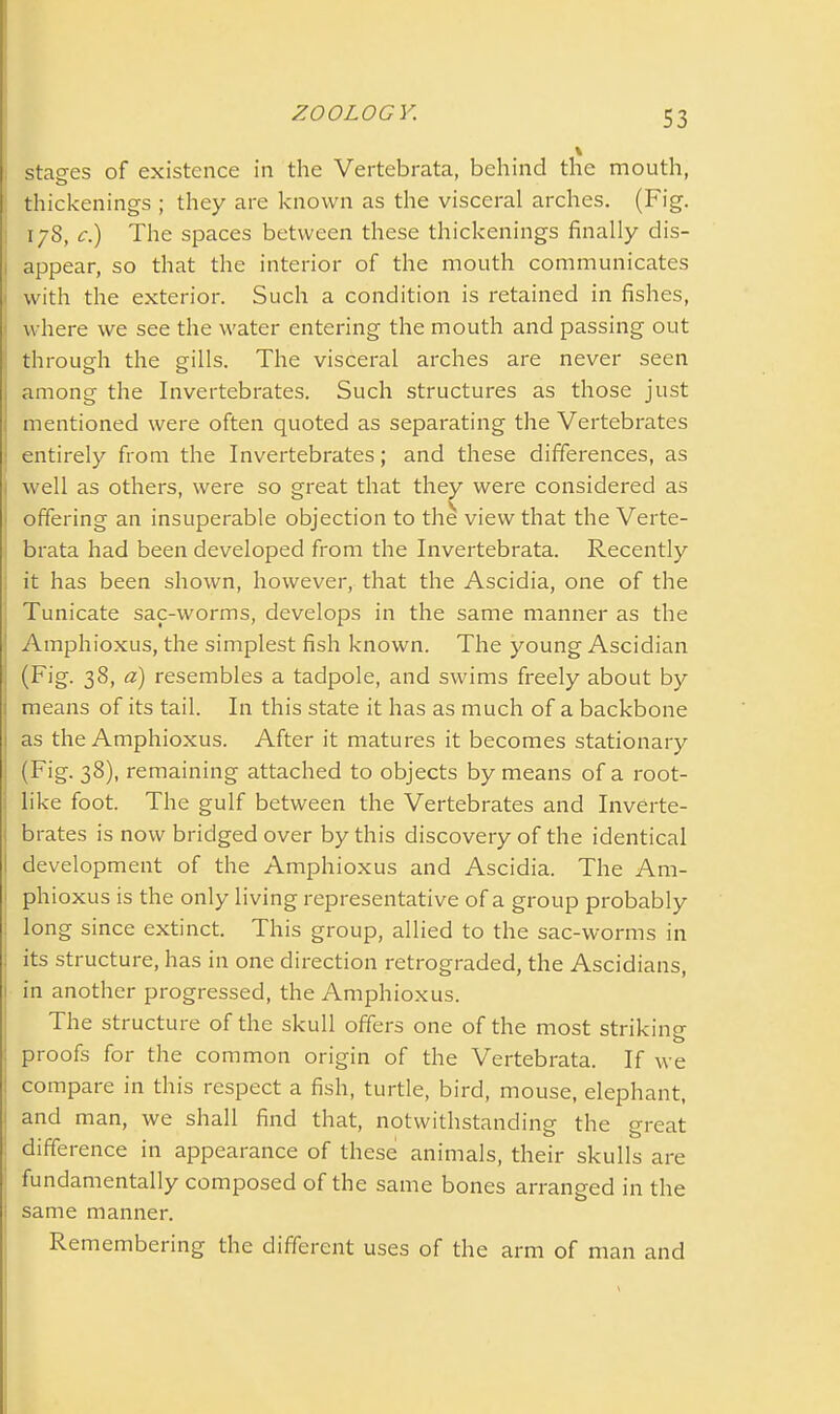 stages of existence in the Vertebrata, behind the mouth, o thickenings ; they are known as the visceral arches. (Fig. 178, c.) The spaces between these thickenings finally dis- 1 appear, so that the interior of the mouth communicates with the exterior. Such a condition is retained in fishes, where we see the water entering the mouth and passing out through the gills. The visceral arches are never seen j among the Invertebrates. Such structures as those just mentioned were often quoted as separating the Vertebrates : entirely from the Invertebrates; and these differences, as l well as others, were so great that they were considered as offering an insuperable objection to the view that the Verte- brata had been developed from the Invertebrata. Recently it has been shown, however, that the Ascidia, one of the Tunicate sac-worms, develops in the same manner as the : Amphioxus, the simplest fish known. The young Ascidian ; (Fig. 38, a) resembles a tadpole, and swims freely about by 1 means of its tail. In this state it has as much of a backbone as the Amphioxus. After it matures it becomes stationary | (Fig. 38), remaining attached to objects by means of a root- like foot. The gulf between the Vertebrates and Inverte- brates is now bridged over by this discovery of the identical I development of the Amphioxus and Ascidia. The Am- phioxus is the only living representative of a group probably long since extinct. This group, allied to the sac-worms in its structure, has in one direction retrograded, the Ascidians, in another progressed, the Amphioxus. The structure of the skull offers one of the most striking- proofs for the common origin of the Vertebrata. If we : compare in this respect a fish, turtle, bird, mouse, elephant, and man, we shall find that, notwithstanding the great difference in appearance of these animals, their skulls are fundamentally composed of the same bones arranged in the i same manner. Remembering the different uses of the arm of man and