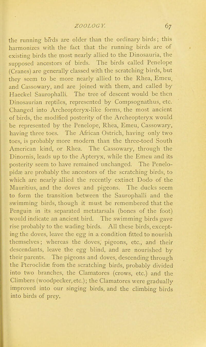 the running birds are older than the ordinary birds; this harmonizes with the fact that the running birds are of existing birds the most nearly allied to the Dinosauria, the supposed ancestors of birds. The birds called Penelope (Cranes) are generally classed with the scratching birds, but they seem to be more nearly allied to the Rhea, Emeu, and Cassowary, and are joined with them, and called by Haeckel Saurophalli. The tree of descent would be then Dinosaurian reptiles, represented by Compsognathus, etc. Changed into Archeopteryx-like forms, the most ancient of birds, the modified posterity of the Archeopteryx would be represented by the Penelope, Rhea, Emeu, Cassowary, having three toes. The African Ostrich, having only two toes, is probably more modern than the three-toed South American kind, or Rhea. The Cassowary, through the Dinornis, leads up to the Apteryx, while the Emeu and its posterity seem to have remained unchanged. The Penelo- pidae are probably the ancestors of the scratching birds, to which are nearly allied the recently extinct Dodo of the Mauritius, and the doves and pigeons. The ducks seem to form the transition between the Saurophalli and the swimming birds, though it must be remembered that the Penguin in its separated metatarsals (bones of the foot) would indicate an ancient bird. The swimming birds gave rise probably to the wading birds. All these birds, except- ing the doves, leave the egg in a condition fitted to nourish themselves; whereas the doves, pigeons, etc., and their descendants, leave the egg blind, and are nourished by their parents. The pigeons and doves, descending through the Pteroclidae from the scratching birds, probably divided into two branches, the Clamatores (crows, etc.) and the Climbers (woodpecker,etc.); the Clamatores were gradually improved into our singing birds, and the climbing birds into birds of prey.