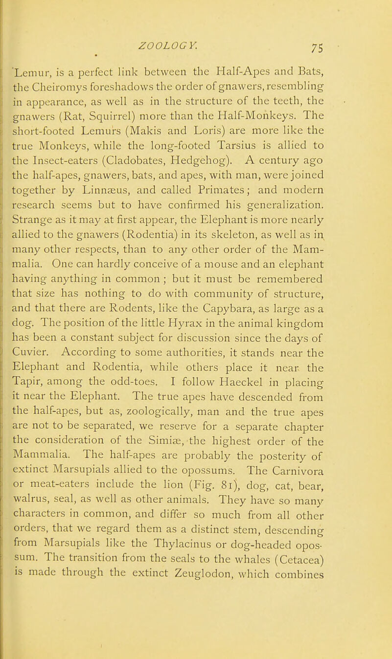 'Lemur, is a perfect link between the Half-Apes and Bats, the Cheiromys foreshadows the order of gnawers, resembling in appearance, as well as in the structure of the teeth, the gnawers (Rat, Squirrel) more than the Half-Monkeys. The short-footed Lemurs (Makis and Loris) are more like the true Monkeys, while the long-footed Tarsius is allied to the Insect-eaters (Cladobates, Hedgehog). A century ago the half-apes, gnawers, bats, and apes, with man, were joined together by Linnaeus, and called Primates; and modern research seems but to have confirmed his generalization. Strange as it may at first appear, the Elephant is more nearly allied to the gnawers (Rodentia) in its skeleton, as well as in many other respects, than to any other order of the Mam- malia. One can hardly conceive of a mouse and an elephant having anything in common ; but it must be remembered that size has nothing to do with community of structure, and that there are Rodents, like the Capybara, as large as a dog. The position of the little Hyrax in the animal kingdom has been a constant subject for discussion since the days of i Cuvier. According to some authorities, it stands near the Elephant and Rodentia, while others place it near the Tapir, among the odd-toes. I follow Haeckel in placing it near the Elephant. The true apes have descended from are not to be separated, we reserve for a separate chapter the consideration of the Simiae, the highest order of the Mammalia. The half-apes are probably the posterity of extinct Marsupials allied to the opossums. The Carnivora or meat-eaters include the lion (Fig. 81), dog, cat, bear, walrus, seal, as well as other animals. They have so many characters in common, and differ so much from all other orders, that we regard them as a distinct stem, descending- from Marsupials like the Thylacinus or dog-headed opos- sum. The transition from the seals to the whales (Cetacea) is made through the extinct Zeuglodon, which combines