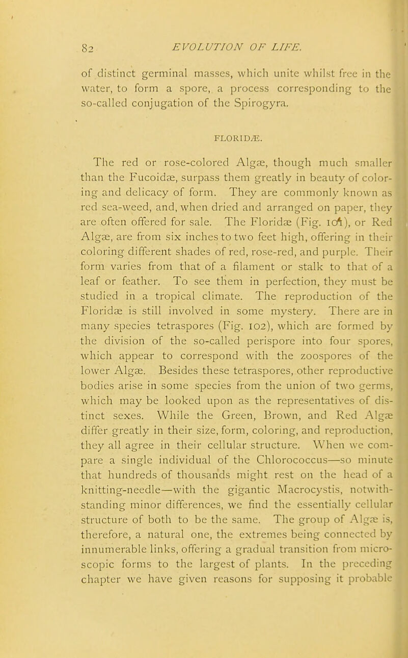 of distinct germinal masses, which unite whilst free in the water, to form a spore, a process corresponding to the so-called conjugation of the Spirogyra. FLORID/E. The red or rose-colored Algae, though much smaller than the Fucoidae, surpass them greatly in beauty of color- ing and delicacy of form. They are commonly known as red sea-weed, and, when dried and arranged on paper, they are often offered for sale. The Floridae (Fig. 1(A), or Red Algae, are from six inches to two feet high, offering in their coloring different shades of red, rose-red, and purple. Their form varies from that of a filament or stalk to that of a leaf or feather. To see them in perfection, they must be studied in a tropical climate. The reproduction of the Floridae is still involved in some mystery. There are in many species tetraspores (Fig. 102), which are formed by the division of the so-called perispore into four spores, which appear to correspond with the zoospores of the lower Algae. Besides these tetraspores, other reproductive bodies arise in some species from the union of two germs, which may be looked upon as the representatives of dis- tinct sexes. While the Green, Brown, and Red Algae differ greatly in their size, form, coloring, and reproduction, they all agree in their cellular structure. When we com- pare a single individual of the Chlorococcus—so minute that hundreds of thousands might rest on the head of a knitting-needle—with the gigantic Macrocystis, notwith- standing minor differences, we find the essentially cellular structure of both to be the same. The group of Algae is, therefore, a natural one, the extremes being connected by innumerable links, offering a gradual transition from micro- scopic forms to the largest of plants. In the preceding chapter we have given reasons for supposing it probable