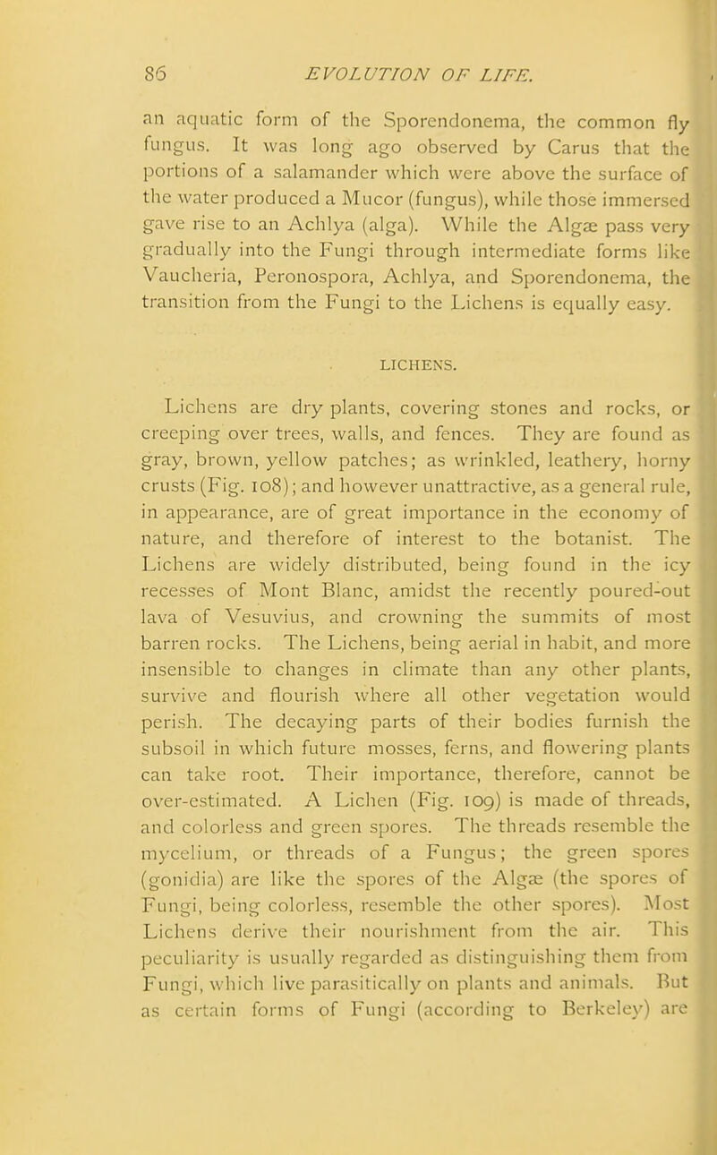 an aquatic form of the Sporendonema, the common fly fungus. It was long ago observed by Carus that the portions of a salamander which were above the surface of the water produced a Mucor (fungus), while those immersed gave rise to an Achlya (alga). While the Algae pass very gradually into the Fungi through intermediate forms like Vaucheria, Peronospora, Achlya, and Sporendonema, the transition from the Fungi to the Lichens is equally easy. LICHENS. Lichens are dry plants, covering stones and rocks, or creeping over trees, walls, and fences. They are found as gray, brown, yellow patches; as wrinkled, leathery, horny crusts (Fig. 108); and however unattractive, as a general rule, in appearance, are of great importance in the economy of nature, and therefore of interest to the botanist. The Lichens are widely distributed, being found in the icy recesses of Mont Blanc, amidst the recently poured-out lava of Vesuvius, and crowning the summits of most barren rocks. The Lichens, being aerial in habit, and more insensible to changes in climate than any other plants, survive and flourish where all other vegetation would perish. The decaying parts of their bodies furnish the subsoil in which future mosses, ferns, and flowering plants can take root. Their importance, therefore, cannot be over-estimated. A Lichen (Fig. 109) is made of threads, and colorless and green spores. The threads resemble the mycelium, or threads of a Fungus; the green spores (gonidia) are like the spores of the Algae (the spores of Fungi, being colorless, resemble the other spores). Most Lichens derive their nourishment from the air. This peculiarity is usually regarded as distinguishing them from Fungi, which live parasitically on plants and animals. But as certain forms of Fungi (according to Berkeley) are