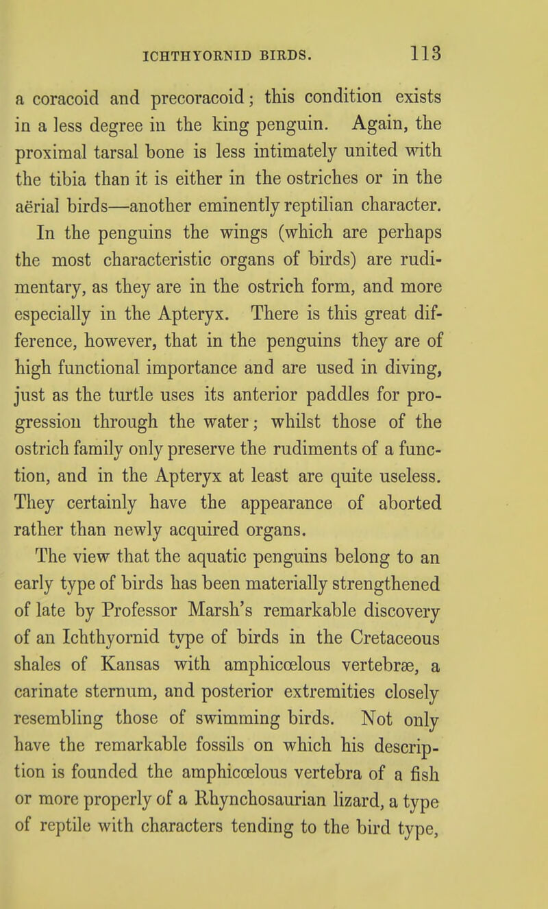 a coracoid and precoracoid; this condition exists in a less degree in the king penguin. Again, the proximal tarsal bone is less intimately united with the tibia than it is either in the ostriches or in the aerial birds—another eminently reptilian character. In the penguins the wings (which are perhaps the most characteristic organs of birds) are rudi- mentary, as they are in the ostrich form, and more especially in the Apteryx. There is this great dif- ference, however, that in the penguins they are of high functional importance and are used in diving, just as the turtle uses its anterior paddles for pro- gression through the water; whilst those of the ostrich family only preserve the rudiments of a func- tion, and in the Apteryx at least are quite useless. They certainly have the appearance of aborted rather than newly acquired organs. The view that the aquatic penguins belong to an early type of birds has been materially strengthened of late by Professor Marsh's remarkable discovery of an Ichthyornid type of birds in the Cretaceous shales of Kansas with amphiccelous vertebrae, a carinate sternum, and posterior extremities closely resembling those of swimming birds. Not only have the remarkable fossils on which his descrip- tion is founded the amphiccelous vertebra of a fish or more properly of a Rhynchosaurian lizard, a type of reptile with characters tending to the bird type,