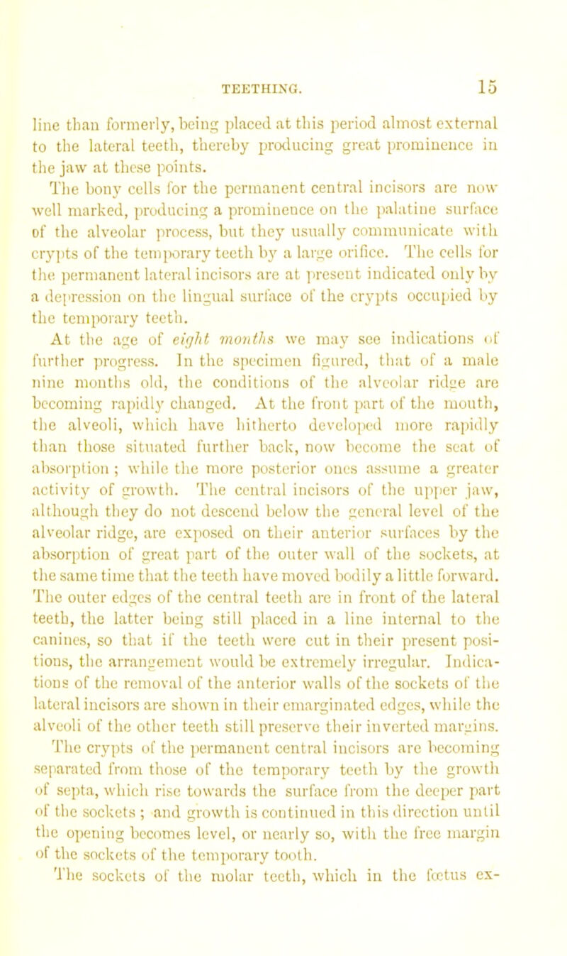 line than formerly, being placed at tins period almost external to the lateral teeth, thereby jiroducing great prominence in the jaw at these points. The bony cells for the permanent central incisors are now well marked, producing a prominence on the palatine surface of the alveolar process, but they usually communicate with cryjits of the temporary teeth b}' a large orifice. The cells for the permanent lateral incisors are at ])resent indicated only by a depression on the lingual surl'ace of the ciypts occupied by the temporary teeth. At the age of eight months we may see indications of further progrcs.s. In the specimen figured, that of a male nine months old, the conditions of the alveolar ridge are becoming rapidly changed. At the front part of the month, tlie alveoli, which have hitherto develojicd more rapidly than those situated further back, now become the seat of absorption ; while the more posterior ones a.ssume a greater activity of growth. The central inci.sors of the upper jaw, although they do not descend below the general level of the alveolar ridge, are exposed on their anterior surfaces by the absorption of great part of the outer wall of the sockets, at the same time that the teeth have moved bodily a little forward. The outer edges of the central teeth are in front of the lateral teeth, the latter being still placed in a line internal to the canines, so that if the teeth were cut in their present posi- tions, the arrangement would be extremely irregular. Indica- tions of the removal of the anterior walls of the sockets of the lateral incisors are shown in their cmarginated edges, while the alveoli of the other teeth still preserve their inverted margins. The crypts of the permanent central incisors are becoming separated from those of the temporary teeth by the growth of septa, which rise towards the surface from the deeper j)art of the sockets ; and growth is continued in this direction until the opening becomes level, or nearly so, with the free margin of the sockets of the temporary tooth. The sockets of the molar teeth, which in the foetus ex-