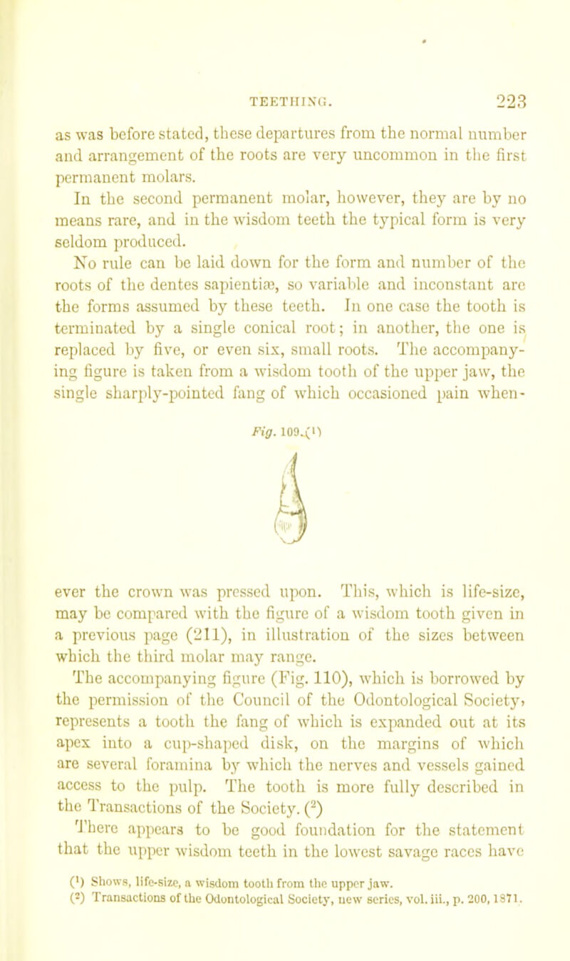 as was before stated, these departures from the normal number and arrangement of the roots are very uncommon in the first permanent molars. In the second permanent molar, however, they are by no means rare, and in the wisdom teeth the typical form is very seldom produced. No rule can be laid down for the form and number of the roots of the dentes sapiential, so variable and inconstant are the forms assumed by these teeth. In one case the tooth is terminated by a single conical root; in another, the one is replaced by five, or even six, small root.s. The accompany- ing figure is taken from a wisdom tooth of the upper jaw, the single sharply-pointed fang of which occasioned pain when- Fig. ever the crown was prcs.sed upon. This, which is life-size, may be compared with the figure of a wisdom tooth given in a previous page (211), in illustration of the sizes between which the third molar may range. The accompanying figure (Fig. 110), which is borrowed by the permission of the Council of the Odontological Society, represents a tooth the fang of which is expanded out at its apex into a cup-shaped disk, on the margins of which are several foramina by which the nerves and vessels gained access to the pulp. The tooth is more fully described in the Transactions of the Society. (^) 'There appears to be good foundation for the statement that the upper wisdom teeth in the lowest savage races have (*) Shows, life-size, a wisdom tooth from the upper jaw. (2) Transactions of the Odontological Society, new scries, vol. iii., p. 200,1871.