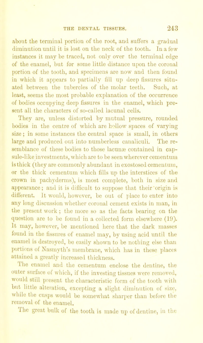 about the terminal portion of the root, and suffers a gradual diminution until it is lost on the neck of the tooth. In a few instances it may be traced, not only over the terminal edge of the enamel, but for some little distance upon the coronal portion of the tooth, and specimens are now and then found in which it appears to partially fill up deep fissures situ- ated between the tubercles of the molar teeth. Such, at least, seems the most probable e.xplanation of the occurrence of bodies occujjying deep fissures in the enamel, which pre- sent all the characters of .so-called lacunal cells. They are, unless distorted by mutual pressure, rounded bodies in the centre of which arc hollow spaces of varying size; in .some instances the central space is small, in others large and produced out into numberless canaliculi. The re- semblance of these bodies to those lacimai contained in cap- sule-like investments, which arc to be seen wherever cementum is thick (they are commonly abundant in c.xostosed cementum, or the thick cementum which fills up the interstices of the crown in pachyderms), is most complete, both in size and appearance; and it is diflicult to suppose that their origin is difieient. It would, however, be out of place to enter into any long discus.sion whether coronal cement exists in man, in the present work ; the more so as the facts bearing on the question are to be found in a collected form elsewhere (19). It may, however, be mentioned here that the dark masses found in the fissures of enamel may, Iq' using acid until the enamel is destroyed, bo easily shown to be nothing else than portions of Nasmyth’s membrane, which has in these jilaces attained a greatly increased thickness. Ihe enamel and the cementum enclose the dentine, the outer surface of which, if the investing tissues were removed, would still pi'csent the characteristic form of the tootli with but little alteration, excepting a slight diminution of size, while the cusps would be somewhat sharper than before the removal of the enamel. Ihe great bulk of the tooth is made up of dentine, in the