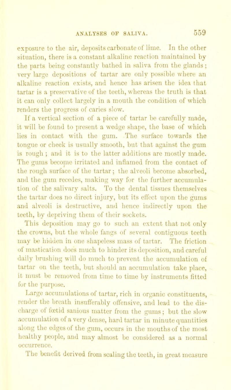 exposure to the air, deposits carbonate of lime. In the other situation, there is a constant alkaline reaction maintained by the parts being constantly bathed in saliva from the glands; very large depositions of tartar are only possible where an alkaline reaction exists, and hence has arisen the idea that tartar is a preservative of the teeth, whereas the truth is that it can only collect largely in a mouth the condition of which renders the progress of caries slow. If a vertical section of a piece of tartar be carefully made, it will be found to present a wedge .shape, the base of which lies in contact with the gum. The surface towards the tongue or cheek is usually smooth, but that against the gum is rough ; and it is to the latter additions are mostly made. The gums become irritated and inflamed from the contact of the rough surface of the tartar; the alveoli become absorbed, and the gum recedes, making way for the further accumula- tion of the .salivary .salts. To the dental tissues themselves the tartar does no direct injury, but its effect upon the gums and alveoli is destructive, and hence indirectly ujkhi the teeth, by depriving them of their sockets. This deposition may go to such an extent that not only the crowns, but the whole fangs of .several contiguous teeth may be hidden in one shapeless mass of tartar. 'I’he friction of mastication docs much to hinder its de])osition, and careful daily brushing will do much to prevent the accumulation of tartar on the teeth, but should an accumulation take place, it must be removed from time to time by instruments fitted fur the pur])ose. Large accumulations of tartar, rich in organic constituents, render the breath insuflerably offensive, and lead to the dis- charge of tcctid sanious matter from the gums; but the slow accumulation of a very dense, hard tartar in minute quantities along the edges of the gum, occurs in the mouths of the most healthy peojile, and may almost bo considered as a normal occurrence. The benefit derived from scaling the teeth, in great measure