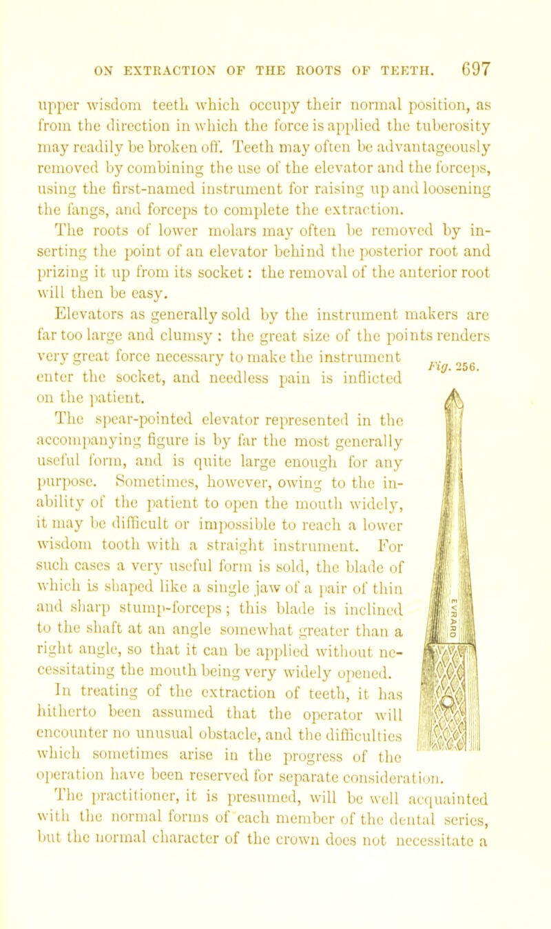 upper wisdom teetL which occupy their normal position, as from the direction in which the force is applied the tuberosity may readily be broken off. Teeth may often be advantageously removed by combining the use of the elevator and the forceps, using the first-named instrument for raising up and loosening the fangs, and forceps to complete the extraction. The roots of lower molars may often be removed by in- serting the 2>oint of an elevator behind the posterior root and prizing it up from its socket: the removal of the anterior root will then be easy. Elevators as generally sold by the instrument makers are far too large and clumsy : the great size of the jwi nts renders very great force necessary to make the instrument enter the socket, and needless jiaiu is inflicted on the patient. The s]iear-pointed elevator rejiresented in the accompanying figure is by far the most generally useful form, and is quite large enough for any purpose. Sometimes, however, owing to the in- ability of the patient to oiwn the mouth widely, it may bo difficult or impossible to reach a lower wisdom tooth with a straight instrument. For such cases a very useful form is sold, the blade of which is shaped like a single jaw of a jiair of thin and sharp stump-forceiis; this blade is inclined to the shaft at an angle somewhat greater than a right angle, so that it can be applied without ne- cessitating the mouth being very widely opened. In treating of the extraction of teeth, it has hitherto been assumed that the operator will encounter no unusual obstacle, and the difficulties which sometimes arise in the progress of the operation have been reserved for seiiarate consideration. ihe jH'actitioner, it is presumed, will be well acquainted with the normal lorms oi each member of the dental series, but the normal character of the crown does not necessitate a Fig. 256.