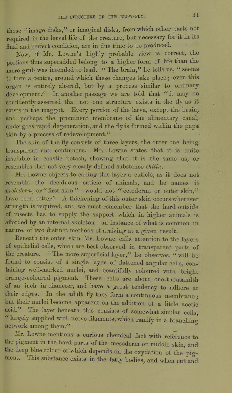 those  imago disks/' or imaginal disks, from which other parts not required in the larval life of the creature, but necessary for it in its final and perfect condition, are in due time to be produced. Now, if Mr. Lowne's highly probable view is correct, the portions thus superadded belong to a higher form of life than the mere grub was intended to lead.  The brain, he tells us,  seems to form a centre, around which these changes take place; even this organ is entirely altered, but by a process similar to ordinary development.- In another passage we are told that  it may be confidently asserted that not one structure exists in the fly as it exists in the maggot. Every portion of the larva, except the brain, and perhaps the prominent membrane of the alimentary canal, undergoes rapid degeneration, and the fly is formed within the pupa skin by a process of redevelopment. The skin of the fly consists of three layers, the outer one being transparent and continuous. Mr. Lowne states that it is quite insoluble in caustic potash, showing that it is the same as, or resembles that not very clearly defined substance cliitin. Mr. Lowne objects to calling this layer a cuticle, as it does not resemble the deciduous cuticle of animals, and he names it protoderm, or  first skin —would not  ectoderm, pr outer skin/' have been better ? A thickening of this outer skin occurs wherever strength is required, and we must remember that the hard outside of insects has to supply the support which in higher, animals is' afforded by an internal skeleton—an instance of what is common in nature, of two distinct methods of arriving at a given result. Beneath the outer skin Mr. Lowne calls attention to the layers of epithelial cells, which are best observed in transparent parts of the creature.  The more superficial layer, he observes, e< will be found to consist of a1 single layer of flattened angular cells, con- taining well-marked nuclei, and beautifully coloured with bright orange-coloured pigment. These cells are about one-thousandth of an inch in diameter, and have a great tendency to adhere at their edges. In the adult fly they form a continuous membrane ; but their nuclei become apparent on the addition of a little acetic acid. The layer beneath this consists of somewhat similar cells,  largely supplied with nerve filaments, which ramify in a branching network among them. Mr. Lowne mentions a curious chemical fact with reference to the pigment in the hard parts of the mesoderm or middle skin, and the deep blue colour of which depends on the oxydation of the'pig- ment. This substance exists in the fatty bodies, and when cut and