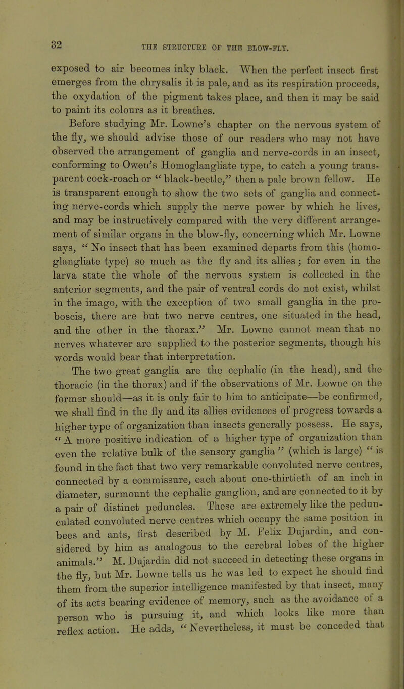 exposed to air becomes inky black. When the perfect insect first emerges from the chrysalis it is pale, and as its respiration proceeds, the oxydation of the pigment takes place, and then it may be said to paint its colours as it breathes. Before studying Mr. Lowne's chapter on the nervous system of the fly, we should advise those of our readers who may not have observed the arrangement of ganglia and nerve-cords in an insect, conforming to Owen's Homoglangliate type, to catch a young trans- parent cock-roach or u black-beetle/' then a pale brown fellow. He is transparent enough to show the two sets of ganglia and connect- ing nerve-cords which supply the nerve power by which he lives, and may be instructively compared with the very different arrange- ment of similar organs in the blow-fly, concerning which Mr. Lowne says,  No insect that has been examined departs from this (homo- glangliate type) so much as the fly and its allies; for even in the larva state the whole of the nervous system is collected in the anterior segments, and the pair of ventral cords do not exist, whilst in the imago, with the exception of two small ganglia in the pro- boscis, there are but two nerve centres, one situated in the head, and the other in the thorax. Mr. Lowne cannot mean that no nerves whatever are supplied to the posterior segments, though his words would bear that interpretation. The two great ganglia are the cephalic (in the head), and the thoracic (in the thorax) and if the observations of Mr. Lowne on the former should—as it is only fair to him to anticipate—be confirmed, we shall find in the fly and its allies evidences of progress towards a higher type of organization than insects generally possess. He says,  A more positive indication of a higher type of organization than even the relative bulk of the sensory ganglia  (which is large)  is found in the fact that two very remarkable convoluted nerve centres, connected by a commissure, each about one-thirtieth of an inch m diameter, surmount the cephalic ganglion, and are connected to it by a pair of distinct peduncles. These are extremely like the pedun- culated convoluted nerve centres which occupy the same position in bees and ants, first described by M. Felix Dujardin, and con- sidered by him as analogous to the cerebral lobes of the higher animals. M. Dujardin did not succeed in detecting these organs in the fly, but Mr. Lowne tells us he was led to expect he should find them from the superior intelligence manifested by that insect, many of its acts bearing evidence of memory, such as the avoidance of a person who is pursuing it, and which looks like more than reflex action. He adds,  Nevertheless, it must be conceded that