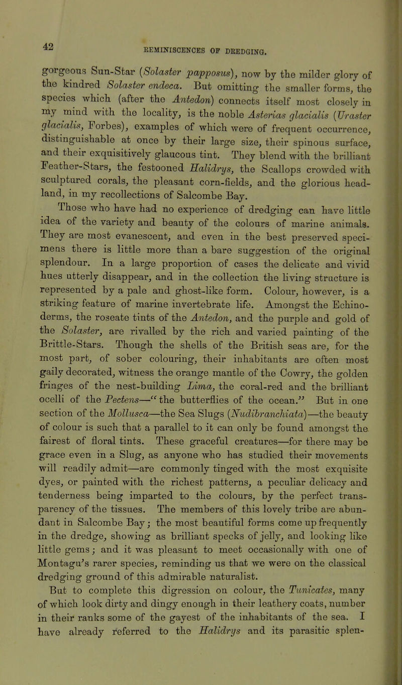 REMINISCENCES OP DEEDGING. gorgeous Sun-Star (Solaster papposus), now by the milder glory of the kindred Solaster endeca. But omitting the smaller forms, the species which (after the Antedon) connects itself most closely in my mind with the locality, is the noble Asterias glacialis (Uraster glacialis, Forbes), examples of which were of frequent occurrence, distinguishable at once by their large size, their spinous surface, and their exquisitively glaucous tint. They blend with the brilliant Feather-Stars, the festooned Halidrys, the Scallops crowded with sculptured corals, the pleasant corn-fields, and the glorious head- land, in my recollections of Salcombe Bay. Those who have had no experience of dredging can have little idea of the variety and beauty of the colours of marine animals. They are most evanescent, and even in the best preserved speci- mens there is little more than a bare suggestion of the original splendour. In a large proportion of cases the delicate and vivid hues utterly disappear, and in the collection the living structure is represented by a pale and ghost-like form. Colour, however, is a striking feature of marine invertebrate life. Amongst the Echino- derms, the roseate tints of the Antedon, and the purple and gold of the Solaster, are rivalled by the rich and varied painting of the Brittle-Stars. Though the shells of the British seas are, for the most part, of sober colouring, their inhabitants are often most gaily decorated, witness the orange mantle of the Cowry, the golden fringes of the nest-building Lima, the coral-red and the brilliant ocelli of the Pectens— the butterflies of the ocean. But in one section of the Mollusca—the Sea Slugs (Nudibranchiata)—the beauty of colour is such that a parallel to it can only be found amongst the fairest of floral tints. These graceful creatures—for there may be grace even in a Slug, as anyone who has studied their movements will readily admit—are commonly tinged with the most exquisite dyes, or painted with the richest patterns, a peculiar delicacy and tenderness being imparted to the colours, by the perfect trans- parency of the tissues. The members of this lovely tribe are abun- dant in Salcombe Bay; the most beautiful forms come up frequently in the dredge, showing as brilliant specks of jelly, and looking like little gems; and it was pleasant to meet occasionally with one of Montagu's rarer species, reminding us that we were on the classical dredging ground of this admirable naturalist. But to complete this digression on colour, the Tanicates, many of which look dirty and dingy enough in their leathery coats, number in their ranks some of the gayest of the inhabitants of the sea. I have already referred to the Halidrys and its parasitic splen-