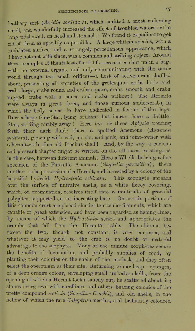 leathery sort (Ascidia sordida ?), which emitted a most sickening smell, and wonderfully increased the effect of troubled waters or the long tidal swell, on head and stomach ! We found it expedient to get rid of them as speedily as possible. A large whitish species, with a nodulated surface and a strangely porcellanous appearance, which I have not met with since, was a common and striking object. Around these examples of the stillest of still life—creatures shut up in a bag, with no external organs, and only communicating with the outer world through two small orifices—a host of active crabs shumed about, presenting all varieties of the grotesque : crabs little and crabs large, crabs round and crabs square, crabs smooth and crabs rugged, crabs with a house and crabs without! The Hermits were always in great force, and those curious spider-crabs, in which the body seems to have abdicated in favour of the legs. Here a large Sun-Star, lying brilliant but inert; there a Brittle- Star, striding nimbly away ! Here two or three Aplysice pouring forth their dark fluid; there a spotted Anemone (Adamsia palliata), glowing with red, purple, and pink, and joint-owner with a hermit-crab of an old Trochus shell! And, by the way, a curious and pleasant chapter might be written on the alliances existing, as in this case, between different animals. Here a Whelk, bearing a fine specimen of the Parasitic Anemone (Sagartia parasitica); there another in the possession of a Hermit, and invested by a colony of the beautiful hydroid, Hydractinia echinata. This zoophyte spreads over the surface of univalve shells, as a white fleecy covering, which, on examination, resolves itself into a multitude of graceful polypites, supported on an incrusting base. On certain portions of this common crust are placed slender tentacular filaments, which are capable of great extension, and have been regarded as fishing-lines, by means of which the Hydr actinia seizes and appropriates the crumbs that fall from the Hermit's table. The alliance be- tween the two, though not constant, is very common, and whatever it may yield to the crab is no doubt of material advantage to the zoophyte. Many of the minute zoophytes secure the benefits of locomotion, and probably supplies of food, by planting their colonies on the shells of the mollusk, and they often select the operculum as their site. Returning to our heap—spono-es, of a deep orange colour, enveloping small univalve shells, from the opening of which a Hermit looks saucily out, lie scattered about it; stones overgrown with corallines, and others bearing colonies of the pretty compound Actinia (Zoanthus Coucliii), and old shells, in the hollow of which the rare Calyptrcea nestles, and brilliantly coloured