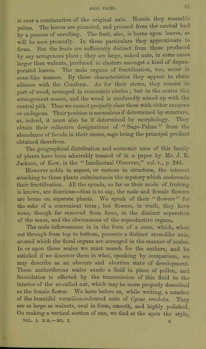 is ever a continuation of the original axis. Herein they resemble palms. The leaves are pinnated, and proceed from the central bud by a process of unrolling. The fruit, also, is borne upon leaves, as will be seen presently. In these particulars they approximate to ferns. But the fruits are sufficiently distinct from those produced by any acrogenous plant; they are large, naked nuts, in some cases larger than walnuts, produced in clusters amongst a kind of depau- perated leaves. The male organs of fructification, too, occur in cone-like masses. By these characteristics they appear to claim alliance with the Coniferae. As for their stems, they consist in part of wood, arranged in concentric circles ; but in the centre this arrangement ceases, and the wood is confusedly mixed up with the central pith. Thus we cannot properly class them with either exogens or endogens. Their position is anomalous if determined by structure, as, indeed, it must also be if determined by morphology. They obtain their collective designations of  Sago-Palms from the abundance of fascula in their stems, sago being the principal product obtained therefrom. The geographical distribution and economic uses of this family of plants have been admirably treated of in a paper by Mr. J. E. Jackson, of Kew, in the  Intellectual Observer, vol. v., p. 246. However noble in aspect, or curious in structure, the interest attaching to these plants culminatesin the mystery which enshrouds their fructification. All the cycads, so far as their mode of fruiting is known, are dioecious—that is to say, the male and female flowers are borne on separate plants. We speak of their  flowers for the sake of a convenient term; but flowers, in truth, they have none, though far removed from ferns, in the distinct separation of the sexes, and the obviousness of the reproductive organs. The male inflorescence is in the form of a cone, which, when cut through from top to bottom, presents a distinct stem-like axis, around which the floral organs are arranged in the manner of scales. In or upon these scales we must search for the anthers, and be satisfied if we discover them in what, speaking by comparison, we may describe as an obscure and abortive state of development. These antheriferous scales exude a fluid in place of pollen, and fecundation is effected by the transmission of this fluid to the interior of the so-called nut, which maybe more properly described as the female flower. We have before us, while writing, a number of the beautiful vermilion-coloured nuts of Gycas revoluta. They are as large as walnuts, oval in form, smooth, and highly polished. On making a vertical section of one, we find at the apex the style, VOL. It n.s.—NO. i. g