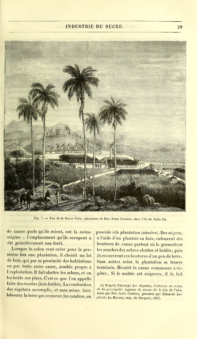 Fig. 7. — Vue de la Vista, plantation de Don Justo Cantero, dans l'île de Cuba (1). ■de canne quels qu'ils soient, ont la même origine : l'emplacement qu'ils occupent a éié primitivement une forêt. Lorsque le colon veut créer pour la pre- mière fois une plantation, il choisit un lot de bois, qui par sa proximité des habitations ou par toute autre cause, semble propre à 1 exploitation. 11 fait abattre les arbres, et on les brûle surplace. C'est ce que l'on appelle faire des tumbas (bois brûlés). La combustion des végétaux accomplie, et sans même faire labourer la terre qui recouvre les cendres, on procède à la plantation [siemhra). Des nègres, à l'aide d'un plantoir en bois, enfoncent des boutures de canne partout où le permettent les souches des arbres abattus et brûlés; puis ils recouvrent ces boutures d'un peu de terre. Sans autres soins la plantation se trouve terminée. Bientôt la canne commence à vé- géter. Si le maître est soigneux, il la fait (1) D'après l'ouvrage Los Inç/enios, Coleccion de vistus de los principales ingénias de azucar de la isla de Cuba, texte par Don Justo Cantero, gravures par Eduardo La- llante, La Havane, imp. de Marqiver, 1867.