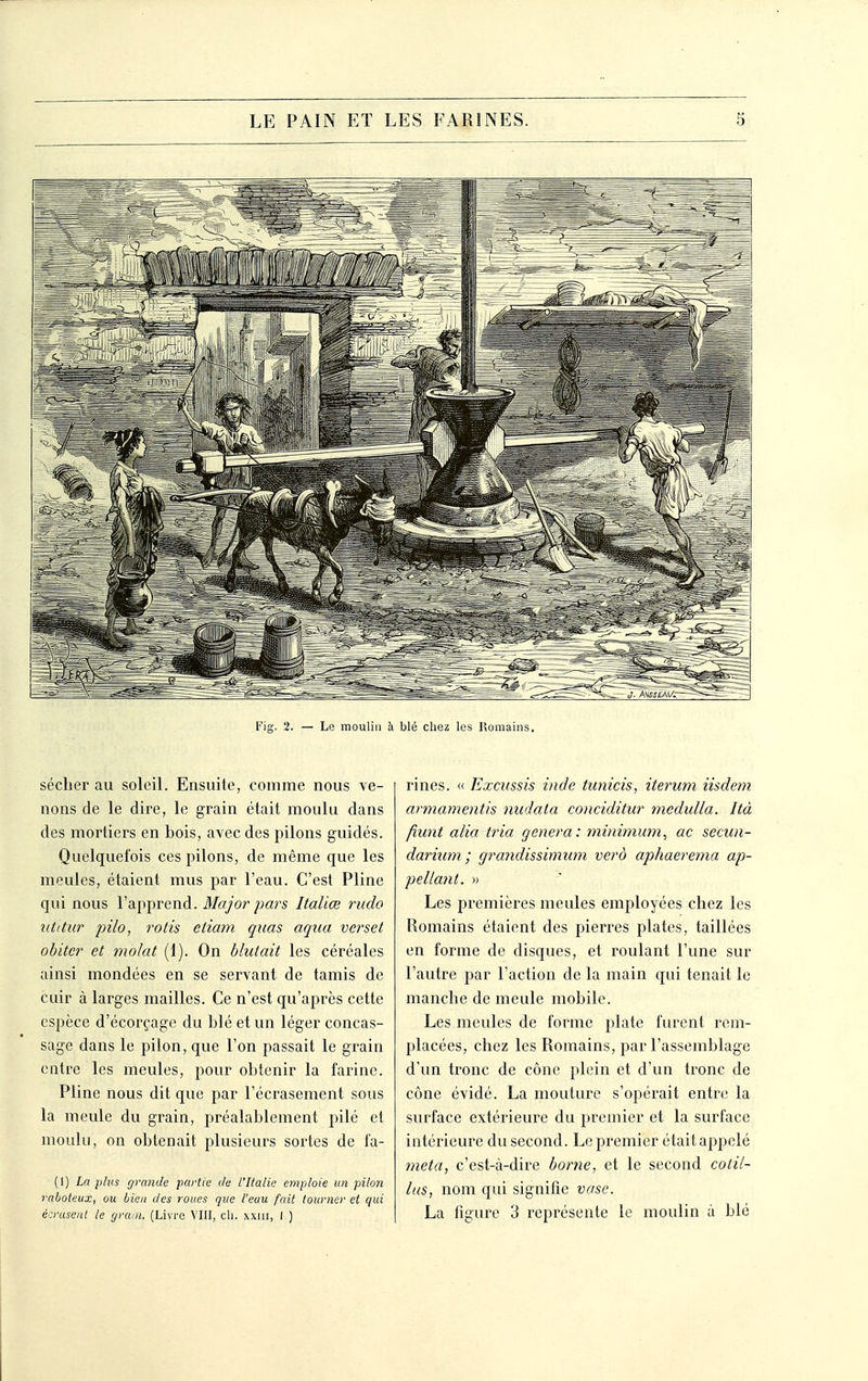 sécher au solciL Ensuite, comme nous ve- nons de le dire, le grain était moulu dans des mortiers en bois, avec des pilons guidés. Quelquefois ces pilons, de même que les meules, étaient mus par l'eau. C'est Pline qui nous l'apprend. Major pars Italiœ rudo ittitiir pilo, rôtis ctiam quas aqua verset ohitcr et molat (1). On blutait les céréales ainsi mondées en se servant de tamis de cuir à larges mailles. Ce n'est qu'après cette espèce d'écorçage du blé et un léger concas- sage dans le pilon, que l'on passait le grain entre les meules, pour obtenir la farine. Pline nous dit que par l'écrasement sous la meule du grain, préalablement pilé et moulu, on obtenait plusieurs sortes de fa- (1) La plus grande partie de l'Italie emploie un pilo7i raboteux, ou bien des roues que l'eau fait tourner et qui écrasent le gram, (Livre VIII, ch. xxiu, I ) rines. « Excussis inde tunicis, iterwn iisdem armamentis nudata conciditur medulla. Ità fiunt alia tria gênera: minimum^ ac secun- darium ; grandissimum vero aphaerema ap- pellant. » Les premières meules employées chez les Romains étaient des pierres plates, taillées en forme de disques, et roulant l'une sur l'autre par l'action de la main qui tenait le manche de meule mobile. Les meules de forme plate furent rem- placées, chez les Romains, par l'assemblage d'un tronc de cône plein et d'un tronc de cône évidé. La mouture s'opérait entre la surface extérieure du premier et la surface intérieure du second. Le premier était appelé meta, c'est-à-dire home, et le second cotii- lus, nom qui signifie vase. La figure 3 représente le moulin à blé