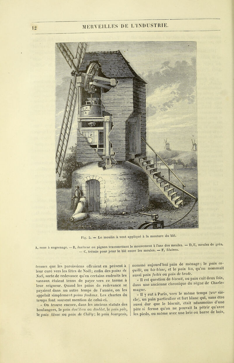 A, roue à engrenage. Fip:. 5. - Le moulin à vent appliqué à la mouture du blé. -B, lanterne ou pignon transmettant le mouvement il l'axe des meules. - D,E, meules de grès. — G, trémie pour jeter le blé entre les meules. — F, bluteau. irennes que les paroissiens offraient en présent à leur curé vers les fêtes de Noël; enfin des pains de Noël, sorte de redevance qu'en certains endroits les vassaux étaient tenus de payer vers ce terme à leur seigneur. Quand les pains de redevance se payaient dans un autre temps de l'année, on les appelait simplement pains féodaux. Les chartes du temps l'ont souvent mention de celui-ci. « On trouve encore, dans les anciens statuts des boulangers, le pain doullinu ou doublet, le pain pôle, le pain blanc ou pain de Chilly ; le pain bourgeois, nommé aujourd'hui pain de ménage ; le pain co- quille, ou bis-blanc, et le pain bis, qu'on nommait aussi pain faités ou pain de brode. « Il est question de biscuit, ou pain cuit deux fois, dans une ancienne chronique du règne de Charle- magne. ., « Il y eut à Paris, vers le môme temps (xvi-^ siè- cle) un pain particulier et fort blanc qui, sans être aussi dur que le biscuit, était néanmoins d'une pâte si ferme qu'on ne pouvait la pétrir qu'avec les pieds, ou même avec une brie ou barre de bois.