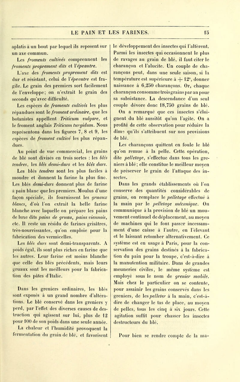 aplatis à un bout par lequel ils reposent sur un axe commun. Les froments cultivés comprennent les froments propremeyit dits et Vépeautre. L'axe des froments proprement dits est dur et résistant, celui de Vépeautre est fra- gile. Le grain des premiers sort facilement de l'enveloppe; on n'extrait le grain des seconds qu'avec difficulté. Les espèces de froments cultivés les plus répandues sont le froment ordinaire, que les botanistes appellent Triticum vulgare, et le froment anglais Ti^iticum turgidum. Nous représentons dans les figures 7, 8 et 9, les espèces de froment cultivé les plus répan- dues. Au point de vue commercial, les grains de blé sont divisés en trois sortes : les blés tendres, les blés demi-durs et les blés durs. Les blés tendres sont les plus faciles à moudre et donnent la farine la plus fine. Les blés demi-durs donnent plus de farine à pain blanc que les premiers. Moulus d'une façon spéciale, ils fournissent les gruaux blancs, d'oii l'on extrait la belle farine blanche avec laquelle on prépare les pains de luxe dits pains de gruau, pains viennois, etc. Il reste un résidu de farines grisâtres, très-nourrissantes, qu'on emploie pour la fabrication des vermicelles. Les blés durs sont demi-transparents. A poids égal, ils sont plus riches en farine que les autres. Leur farine est moins blanche que celle des blés précédents, mais leurs gruaux sont les meilleurs pour la fabrica- tion des pâtes d'Italie. Dans les greniers ordinaires, les blés sont exposés à un grand nombre d'altéra- tions. Le blé conservé dans les greniers y perd, par l'effet des diverses causes de des- truction qui agissent sur lui, plus de 12 pour 100 de son poids dans une seule année. La chaleur et l'humidité provoquent la fermentation du grain de blé, et favorisent le développement des insectes qui l'altèrent. Parmi les insectes qui occasionnent le plus de ravages au grain de blé, il faut citer le charançon et l'alucite. Un couple de cha- rançons peut, dans une seule saison, si la température est supérieure à -f- 12°, donner naissance à 6,250 charançons. Or, chaque charançon consomme trois grains par an pour sa subsistance. La descendance d'un seul couple dévore donc 18,750 grains de blé. On a remarqué que ces insectes s'éloi- gnent du blé aussitôt qu'on l'agite. On a profité de cette observation pour réduire la dîms qu'ils s'attribuent sur nos provisions de blé. Les charançons quittent en foule le blé qu'on remue à la pelle. Cette, opération, dite pclletage, s'effectue dans tous les gre- niers à blé ; elle constitue le meilleur moyen de préserver le grain de l'attaque des in- sectes. Dans les grands établissements où l'on conserve des quantités considérables de grains, on remplace le pelletage effectué à la main par le pelletage mécanique. On communique à la provision de blé un mou- vement continuel de déplacement, au moyen de machines qui le font passer incessam- ment d'une caisse à l'autre, en l'élevant et le laissant retomber alternativement. Ce système est en usage à Paris, pour la con- servation des grains destinés à la fabrica- tion du pain pour la troupe, c'est-à-dire à la manutention militaire. Dans de grandes meuneries civiles, le même système est employé sous le nom de grenier mobile. Mais chez le particulier on se contente, pour assainir les grains conservés dans les greniers, de le?,pelleter à la main, c'est-à- dire de changer le tas de place, au moyen de pelles, tous les cinq à six jours. Cette agitation suffît pour chasser les insectes destructeurs du blé. Pour bien se rendre compte de la ma-