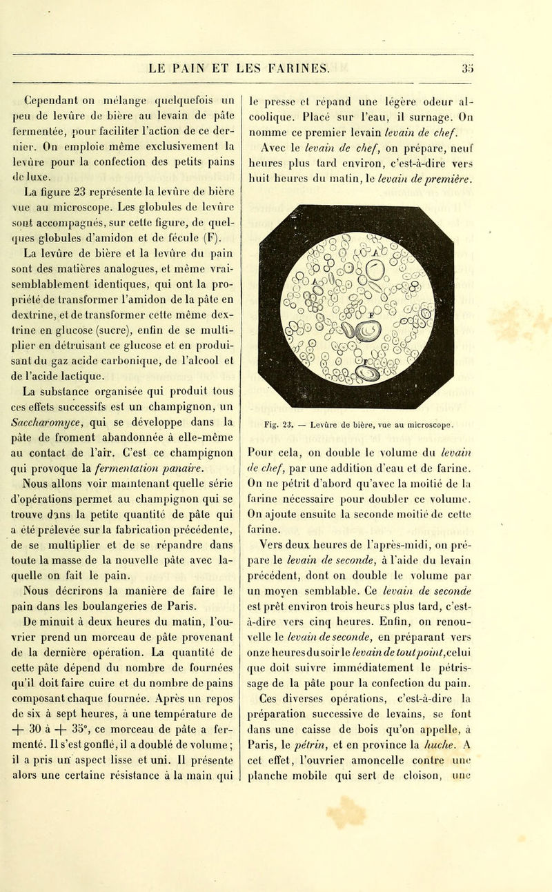 Cependant on mélange quelquefois un peu de levure de bière au levain de pâte lerinentée, pour faciliter l'action de ce der- nier. On emploie même exclusivement la levure pour la confection des petits pains de luxe. La figure 23 représente la levûre de bière vue au microscope. Les globules de levûre sont accompagnés, sur cette figure^ de quel- ques globules d'amidon et de fécule (F). La levûre de bière et la levûre du pain sont des matières analogues, et même vrai- semblablement identiques, qui ont la pro- priété de transformer l'amidon de la pâte en dextrine, et de transformer cette même dex- trine en glucose (sucre), enfin de se multi- plier en détruisant ce glucose et en produi- sant du gaz acide carbonique, de l'alcool et de l'acide lactique. La substance organisée qui produit tous ces effets successifs est un champignon, un Saccharormjce, qui se développe dans la pâte de froment abandonnée à elle-même au contact de l'air. C'est ce champignon qui provoque la fermentation panaire. Nous allons voir mamtenant quelle série d'opérations permet au champignon qui se trouve d^ns la petite quantité de pâte qui a été prélevée sur la fabrication précédente, de se multiplier et de se répandre dans toute la masse de la nouvelle pâte avec la- quelle on fait le pain. Nous décrirons la manière de faire le pain dans les boulangeries de Paris. De minuit à deux heures du matin, l'ou- vrier prend un morceau de pâte provenant de la dernière opération. La quantité de cette pâte dépend du nombre de fournées qu'il doit faire cuire et du nombre de pains composant chaque fournée. Après un repos de six à sept heures, à une température de -f- 30 à -f- 35% ce morceau de pâte a fer- menté. Il s'est gonflé, il a doublé de volume ; il a pris un' aspect lisse et uni. Il présente alors une certaine résistance à la main qui le presse et répand une légère odeur al- coolique. Placé sur l'eau, il surnage. On nomme ce premier levain levain de chef. Avec le levain de chef, on prépare, neuf heures plus tard environ, c'est-à-dire vers huit heures du matin, le levain de première. Fig. 23. — Levûre de bière, vue au microscope. Pour cela, on double le volume du levain de chef, par une addition d'eau et de farine. On ne pétrit d'abord qu'avec la moitié de la farine nécessaire pour doubler ce volume. On ajoute ensuite la seconde moitié de cette farine. Vers deux heures de l'après-midi, on pré- pare le levain de seconde, à l'aide du levain précédent, dont on double le volume par un moyen semblable. Ce levain de seconde est prêt environ trois heurts plus tard, c'est- à-dire vers cinq heures. Enfin, on renou- velle \e. levain de seconde, en préparant vers onze \\e\xve?,di\x^o'\Y\e, levain de tout point,ce\m que doit suivre immédiatement le pétris- sage de la pâte pour la confection du pain. Ces diverses opérations, c'est-à-dire la préparation successive de levains, se font dans une caisse de bois qu'on appelle, à Paris, le pétrin, et en province la huche. A cet effet, l'ouvrier amoncelle contre une planche mobile qui sert de cloison, une