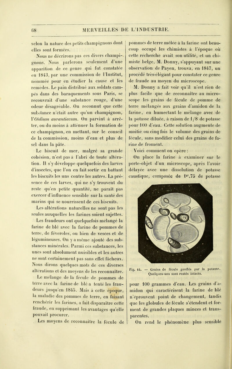 'selon la nature des petits champignons dont elles sont formées. Nous ne décrirons pas ces divers champi-. gnons. Nous parlerons seulement d'une apparition de ce genre qui fut constatée en 1843, par une commission de l'Institut, nommée pour en étudier la cause et les remèdes. Le pain distribué aux soldats cam- pés dans des baraquements sous Paris, se recouvrait d'une substance rouge, d'une odeur désagréable. On reconnut que cette sufc.3tance n'était autre qu'un champignon, VOidium aurantiacum. On parvint à arrê- ter, ou du moins à atténuer la formation de ce champignon, en mettant, sur le conseil de la commission, moins d'eau et plus de sel dans la pâte. Le biscuit de mer, malgré sa grande cohésion, n'est pas à l'abri de toute altéra- tion. Il s'y développe quelquefois des larves d'insectes, que l'on en fait sortir en battant les biscuits les uns contre les autres. La pré- sence de ces larves, qui ne s'y trouvent du reste qu'en petite quantité, ne paraît pas exercer d'influence sensible sur la santé des marins qui se nourrissent de ces biscuits. Les altérations naturelles ne sont pas les seules auxquelles les farines soient sujettes. Les fraudeurs ont quelquefois mélangé la farine de blé avec la farine de pommes de terre, de féveroles, ou bien de vesces et de légumineuses. On y a même ajouté des sub- stances minérales. Parmi ces substances, les unes sont absolument nuisibles et les autres ne sont certainement pas sans effet fâcheux. Nous dirons quelques mots de ces diverses altérations et des moyens de les reconnaître. Le mélange de la fécule de pommes de terre avec la farine de blé a tenté les frau- deurs jusqu'en 1845. Mais à cette époque, la maladie des pommes de terre, en faisant renchérir les farines, a fait disparaître cette fraude, en supprimant les avantages qu'elle pouvait procurer. Les moyens de reconnaître la fécule de pommes de terre mêlée à la farine ont beau- coup occupé les chimistes à l'époque où cette recherche avait son utilité, et un chi- miste belge, M. Donny, s'appuyant sur une observation de Payen, trouva, en 1847, un procédé très-élégant pour constater ce genre de fraude au moyen du microscope. M. Donny a fait voir qu'il n'est rien de plus facile que de reconnaître au micro- scope les grains de fécule de pomme de terre mélangés aux grains d'amidon de la farine, en humectant le mélange avec de la potasse diluée, à raison de 1 /8 de potasse pour 100 d'eau. Cette solution augmente de moitié ou cinq fois le volume des grains de fécule, sans modifier celui des grains de fa- rine de froment. Voici comment on opère : On place la farine à examiner sur le porte-objet d'un microscope, après l'avoir délayée avec une dissolution de potasse caustique, composée de l«'.7o de potasse Fig. 44. — Grains de fécule gonflés par la potasse. Quelques-uns sont restés intacts. pour 100 grammes d'eau. Les grains d'a- midon qui caractérisent la farine de blé n'éprouvent point de changement, tandis que les globules de fécule s'étendent et for- ment de grandes plaques minces et trans- parentes. On rend le phénomène plus sensible