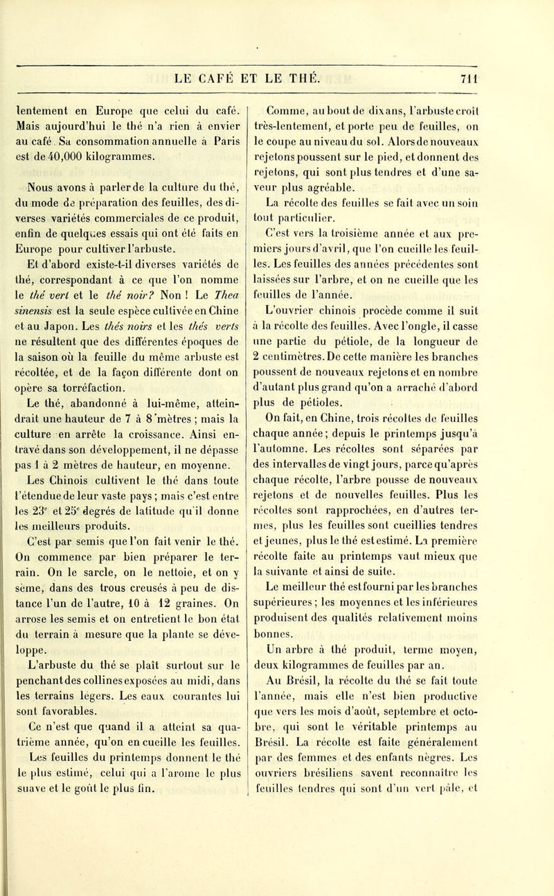 lentement en Europe que celui du café. Mais aujourd'hui le thé n'a rien à envier au café. Sa consommation annuelle à Paris est de 40,000 kilogrammes. Nous avons à parler de la culture du thé, du mode de préparation des feuilles, des di- verses variétés commerciales de ce produit, enfin de quelques essais qui ont été faits en Europe pour cultiver l'arbuste. Et d'abord existe-t-il diverses variétés de thé, correspondant à ce que l'on nomme le thé verl et le thé noir? Non ! Le Thea sinensis est la seule espèce cultivée en Chine et au Japon. Les thés noirs et les thés verts ne résultent que des différentes époques de la saison oii la feuille du même arbuste est récoltée, et de la façon différente dont on opère sa torréfaction. Le thé, abandonné à lui-même, attein- drait une hauteur de 7 à 8 'mètres ; mais la culture en arrête la croissance. Ainsi en- travé dans son développement, il ne dépasse pas 1 à 2 mètres de hauteur, en moyenne. Les Chinois cultivent le thé dans toute l'étendue de leur vaste pays ; mais c'est entre les 23'' et 25 degrés de latitude qu'il donne les meilleurs produits. C'est par semis que l'on fait venir le thé. On commence par bien préparer le ter- rain. On le sarcle, on le nettoie, et on y sème, dans des trous creusés à peu de dis- tance l'un de l'autre, 10 à 12 graines. On arrose les semis et on entretient le bon état du terrain à mesure que la plante se déve- loppe. L'arbuste du thé se plaît surtout sur le penchant des collines exposées au midi, dans les terrains légers. Les eaux courantes lui sont favorables. Ce n'est que quand il a atteint sa qua- trième année, qu'on en cueille les feuilles. Les feuilles du printemps donnent le thé le plus estimé, celui qui a l'arôme le plus suave et le goût le plus fin. Comme, auboutde dixans, l'arbustecroît très-lentement, et porte peu de feuilles, on le coupe au niveau du sol. Alors de nouveaux rejetons poussent sur le pied, et donnent des rejetons, qui sont plus tendres et d'une sa- veur plus agréable. La récolte des feuilles se fait avec un soin tout particulier. C'est vers la troisième année et aux pre- miers jours d'avril, que l'on cueille les feuil- les. Les feuilles des années précédentes sont laissées sur l'arbre, et on ne cueille que les feuilles de l'année. L'ouvrier chinois procède comme il suit à la récolte des feuilles. Avec l'ongle, il casse une partie du pétiole, de la longueur de 2 centimètres. De cette manière les branches poussent de nouveaux rejetons et en nombre d'autant plus grand qu'on a arraché d'abord plus de pétioles. On fait, en Chine, trois récoltes de feuilles chaque année; depuis le printemps jusqu'à l'automne. Les récoltes sont séparées par des intervalles de vingt jours, parce qu'après chaque récolte, l'arbre pousse de nouveaux rejetons et de nouvelles feuilles. Plus les récoltes sont rapprochées, en d'autres ter- mes, plus les feuilles sont cueillies tendres et jeunes, plus le thé est estimé. La première récolte faite au printemps vaut mieux que la suivante et ainsi de suite. Le meilleur thé est fourni par les branches supérieures ; les moyennes et les inférieures produisent des qualités relativement moins bonnes. Un arbre à thé produit, terme moyen, deux kilogrammes de feuilles par an. Au Brésil, la récolte du thé se fait toute l'année, mais elle n'est bien productive que vers les mois d'août, septembre et octo- bre, qui sont le véritable printemps au Brésil. La récolte est faite généralement par des femmes et des enfants nègres. Les ouvriers brésiliens savent reconnaître les feuilles tendres qui sont d'un vert pâle, et