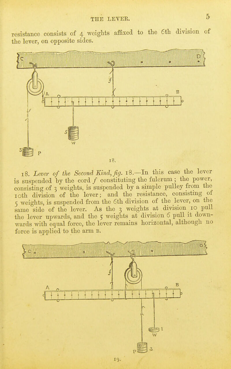 resistance consists of 4 weights afaxed to the 6tli division of the lever, on opposite sides. 18. 18. Lever of the Second Kind, fig. 18.—In this case the lever is suspended by the cord / constituting the fulcrum; the power, consisting of 3 weights, is suspended by a simple pulley from the loth division of the lever; and the resistance, consisting of 5 weights, is suspended from the 6th division of the lever, on the same side of the lever. As the 3 weights at division 10 pull the lever upwards, and the 5 weights at division 6 pull it down- wards with equal force, the lever remains horizontal, although no force is applied to the arm b.