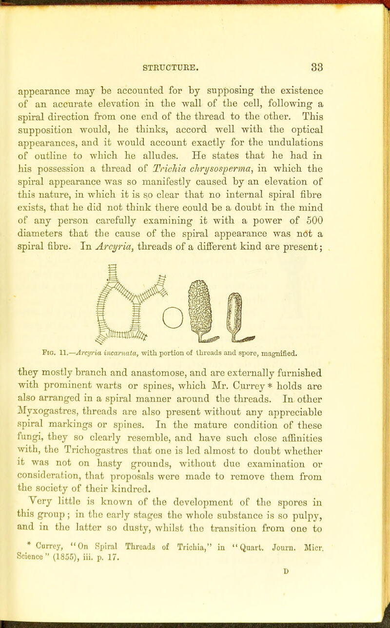 appearance may be accounted for by supposing the existence of an accurate elevation in the wall of the cell, following a spiral direction from one end of the thread to the other. This supposition would, he thinks, accord well with the optical appearances, and it would account exactly for the undulations of outline to which he alludes. He states that he had in his possession a thread of Trichia chrysosperma, in which the spiral appearance was so manifestly caused by an elevation of this nature, in which it is so clear that no internal spiral fibre exists, that he did not think there could be a doubt in the mind of any person carefully examining it with a power of 500 diameters that tie cause of the spiral appearance was not a spiral fibre. In Arcyria, threads of a different kind are present; Fig. 11.—Arcyria incarnata, with portion of threads and spore, magnified. they mostly branch and anastomose, and are externally furnished with prominent warts or spines, which Mr. Currey * holds are also arranged in a spiral manner around the threads. In other Myxogastres, threads are also present without any appreciable spiral markings or spines. In the mature condition of these fungi, they so clearly resemble, and have such close affinities with, the Trichogastres that one is led almost to doubt whether it was not on hasty grounds, without due examination or consideration, that proposals were made to remove them from the society of their kindred. Very little is known of the development of the spores in this group; in the early stages the whole substance is so pulpy, and in the latter so dusty, whilst the transition from one to * Currey, On Spiral Threads of Trichia, in Quart. Journ. Micr. Science  (1855), iii. p. 17. D