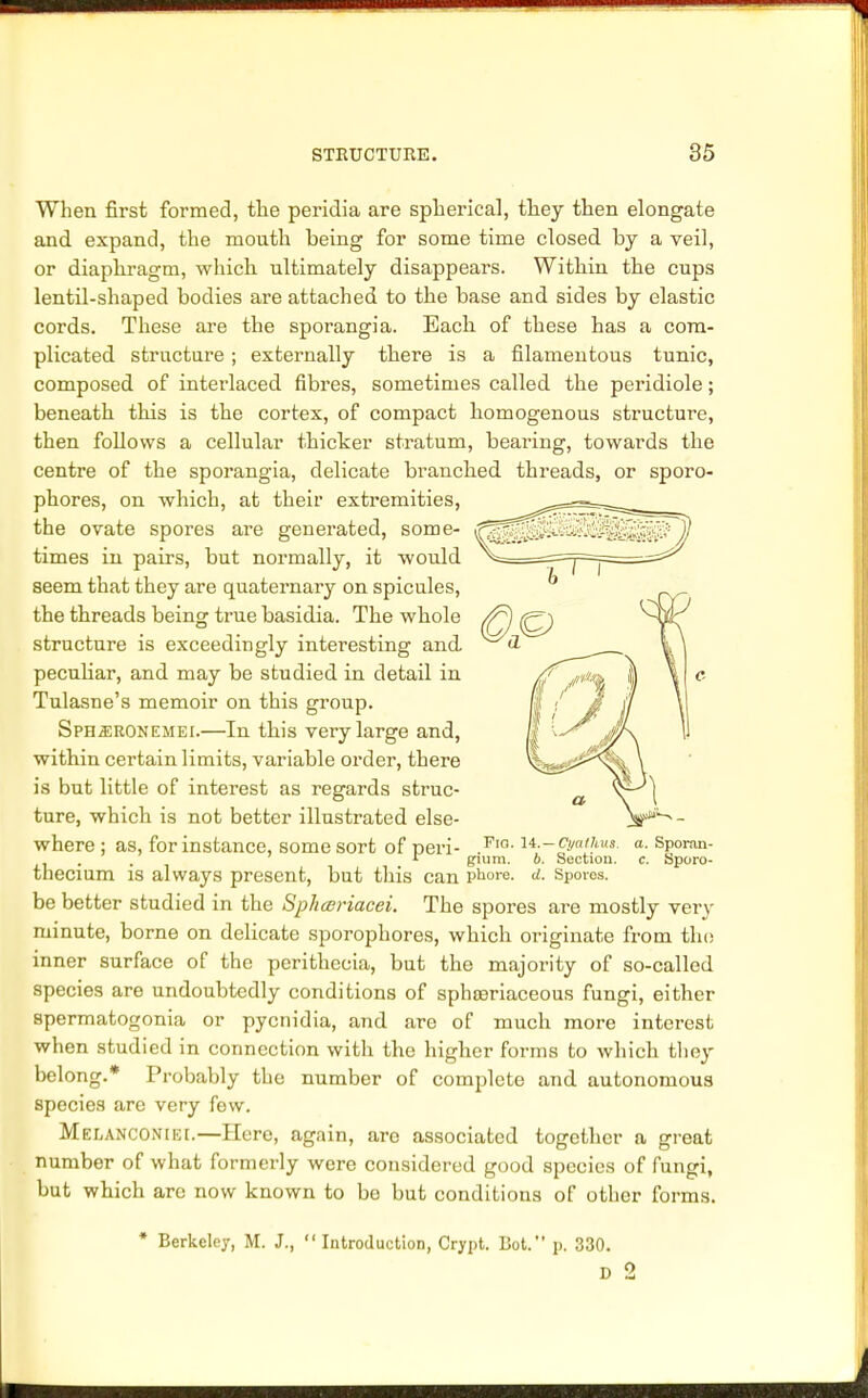 When first formed, the peridia are spherical, they then elongate and expand, the mouth being for some time closed by a veil, or diaphragm, which ultimately disappears. Within the cups lentil-shaped bodies are attached to the base and sides by elastic cords. These are the sporangia. Each of these has a com- plicated structure ; externally there is a filamentous tunic, composed of interlaced fibres, sometimes called the peridiole; beneath this is the cortex, of compact homogenous structure, then follows a cellular thicker stratum, bearing, towards the centre of the sporangia, delicate branched threads, or sporo- phores, on which, at their extremities, the ovate spores are generated, some- times in pairs, but normally, it would seem that they are quaternary on spicules, the threads being true basidia. The whole structure is exceedingly interesting and peculiar, and may be studied in detail in Tulasne's memoir on this group. Sph^ronemei.—In this very large and, within certain limits, variable order, there is but little of interest as regards struc- ture, which is not better illustrated else- where ; as, for instance, some sort of peri- .Fia 14- ,, . . r gium. 6. thecium is always present, but this can phore. be better studied in the Spliceriacei. The spores are mostly very minute, borne on delicate sporophores, which originate from the inner surface of the perithecia, but the majority of so-called species are undoubtedly conditions of sphoariaceous fungi, either spermatogonia or pycnidia, and are of much more interest when studied in connection with the higher forms to which they belong.* Probably the number of complete and autonomous species are very few. Melanconiei.—Here, again, arc associated together a great number of what formerly were considered good species of fungi, but which are now known to be but conditions of other forms. - Cyatlms. Section. Sporos. * Berkeley, M. J.,  Introduction, Crypt. Bot. p. 330. D 2