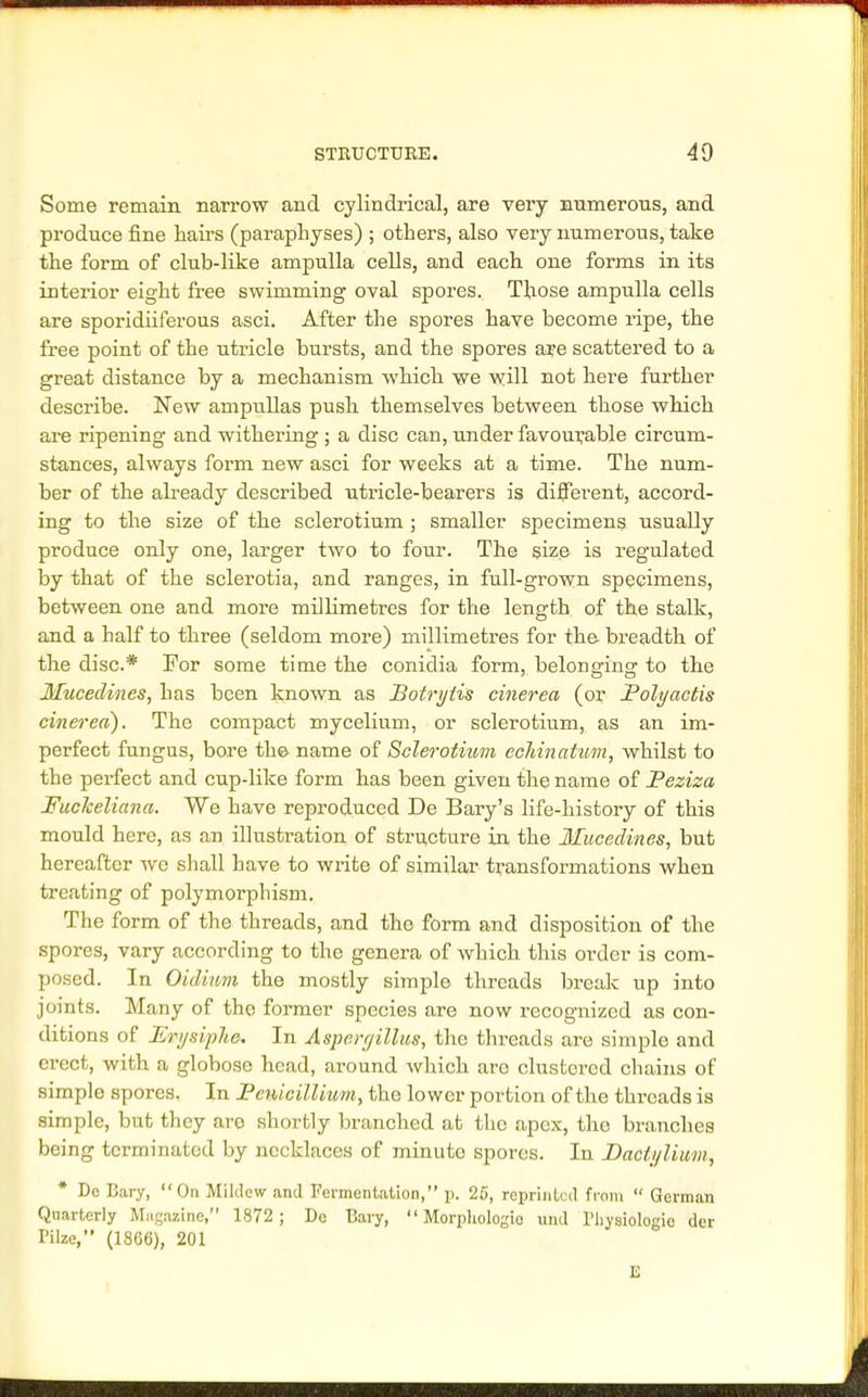 Some remain narrow and cylindrical, are very numerous, and produce fine hairs (paraphyses) ; others, also very numerous, take the form of club-like ampulla cells, and each one forms in its interior eight free swimming oval spores. Those ampulla cells are sporidiiferous asci. After the spores have become ripe, the free point of the utricle bursts, and the spores are scattered to a great distance by a mechanism which we will not here further describe. New ampullas push themselves between those which are ripening and withering ; a disc can, under favourable circum- stances, always form new asci for weeks at a time. The num- ber of the already described utricle-bearers is different, accord- ing to the size of the sclerotiurn ; smaller specimens usually produce only one, larger two to four. The size is regulated by that of the sclerotia, and ranges, in full-grown specimens, between one and more millimetres for the length of the stalk, and a half to three (seldom more) millimetres for the breadth of the disc* For some time the conidia form, belonfringe to the Mucedines, has been known as Botrytis cinerea (or Polyactis cinerea). The compact mycelium, or sclerotiurn, as an im- perfect fungus, bore the name of Sclerotiurn ecliinatum, whilst to the perfect and cup-like form has been given the name of JPeziza Fucheliana. We have reproduced De Bary's life-history of this mould here, as an illustration of structure in the Mucedines, but hereafter we shall have to write of similar transformations when treating of polymorphism. The form of the threads, and the form and disposition of the spores, vary according to the genera of which this order is com- posed. In Oidinm the mostly simple threads break up into joints. Many of the former species are now recognized as con- ditions of Erysiphe. In Aspergillus, the threads are simple and erect, with a globose head, around which aro clustered chains of simple spores. In PenicilUum, the lower portion of the threads is simple, but they are shortly branched at the apex, the branches being terminated by necklaces of minute spores. In Daclylium, * Do Cary, On Mildew and Fermentation, p. 25, reprinted from  German Quarterly Magazine, 1872 ; Dc Bary, Morphologic und Physiologic der Pilze, (1866), 201