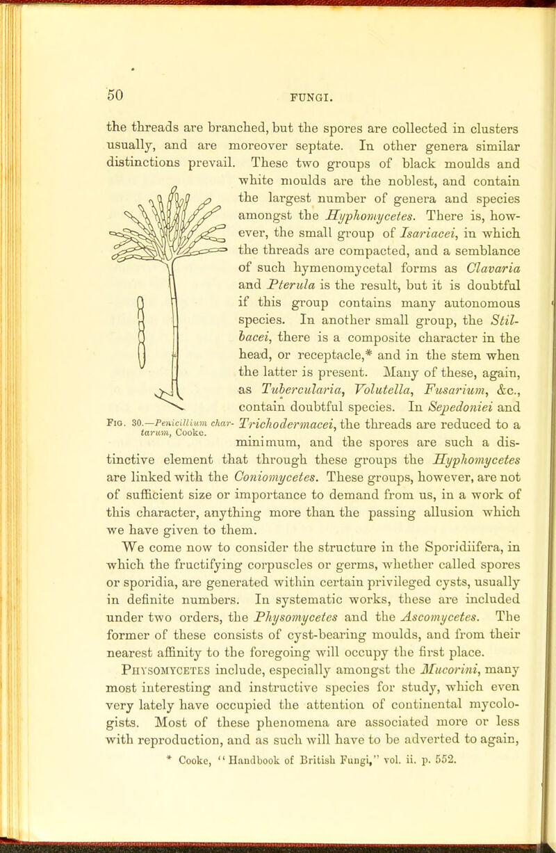 the threads are branched, but the spores are collected in clusters usually, and are moreover septate. In other genera similar distinctions prevail. These two groups of black moulds and white moulds are the noblest, and contain the largest number of genera and species amongst tbe Hyphomycetes. There is, how- ever, the small group of Isariacei, in which the threads are compacted, and a semblance of such hymenomycetal forms as Clavaria and Pterula is the result, but it is doubtful if this group contains many autonomous species. In another small group, the Stil- bacei, there is a composite character in the head, or receptacle,* and in the stem when the latter is present. Many of these, again, as Tubercularia, Volutella, Fusarium, &c, contain doubtful species. In Sepedoiiiei and Fio. so.—PeniciMum char- Trichodermacei, the threads are reduced to a tarum, Cooke. . , minimum, and the spores are such a dis- tinctive element that through these groups the Hyphomycetes are linked with the Coniomycetes. These groups, however, are not of sufficient size or importance to demand from us, in a work of this character, anything more than the passing allusion which we have given to them. We come now to consider the structure in the Sporidiifera, in which the fructifying corpuscles or germs, whether called spores or sporidia, are generated within certain privileged cysts, usually in definite numbers. In systematic works, these are included under two orders, the Physomycetes and the Ascomycetes. The former of these consists of cyst-bearing moulds, and from their nearest affinity to the foregoing will occupy the first place. Physomtcetes include, especially amongst the Mucorini, many most interesting and instructive species for study, which even very lately have occupied the attention of continental mycolo- gists. Most of these phenomena are associated more or less with reproduction, and as such will have to be adverted to again, * Cooke, Handbook of British Fungi, vol. ii. p. 552.