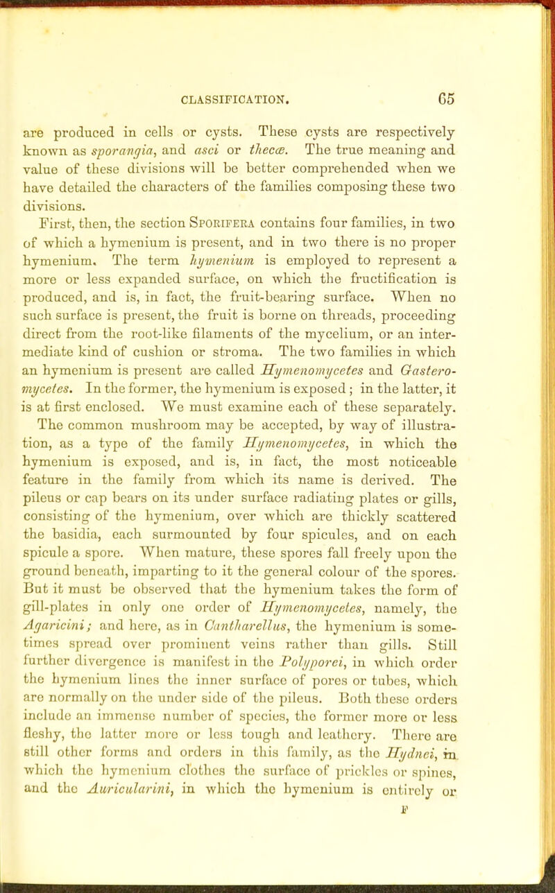 are produced in cells or cysts. These cysts are respectively known as sporangia, and asci or theccB. The true meaning and value of these divisions will be better comprehended when we have detailed the characters of the families composing these two divisions. First, then, the section Sporifera contains four families, in two of which a hymenium is present, and in two there is no proper hymenium. The term hymenium is employed to represent a more or less expanded surface, on which the fructification is produced, and is, in fact, the fruit-bearing surface. When no such surface is present, the fruit is borne on threads, proceeding direct from the root-like filaments of the mycelium, or an inter- mediate kind of cushion or stroma. The two families in which an hymenium is present are called Hymenomycetes and Gastero- mycetes. In the former, the hymenium is exposed; in the latter, it is at first enclosed. We must examine each of these separately. The common mushroom may be accepted, by way of illustra- tion, as a type of the family Hymenomycetes, in wdiich the hymenium is exposed, and is, in fact, the most noticeable feature in the family from which its name is derived. The pileus or cap bears on its under surface radiating plates or gills, consisting of the hymenium, over which are thickly scattered the basidia, each surmounted by four spicules, and on each spicule a spore. When mature, these spores fall freely upon the ground beneath, imparting to it the general colour of the spores. But it must be observed that the hymenium takes the form of gill-plates in only one order of Hymenomycetes, namely, the Agaricini; and here, as in Cuntharcllus, the hymenium is some- times spread over prominent veins rather than gills. Still further divergence is manifest in the Polyporci, in which order the hymenium lines the inner surface of pores or tubes, which are normally on the under side of the pileus. Both these orders include an immense number of species, the former more or less fleshy, the latter more or less tough and leathery. There are still other forms and orders in this family, as the Hydnci, in which the hymenium clothes the surface of prickles or spines, and the Auricularini, in which the hymenium is entirely or