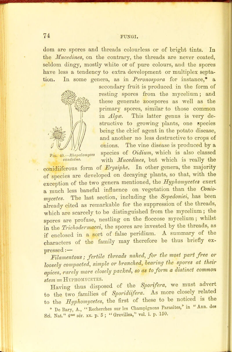 dom are spores and threads colourless or of bright tints. In the Mucedines, on the contrary, the threads are never coated, seldom dingy, mostly white or of pure colours, and the spores have less a tendency to extra development or multiplex septa- tion. In some genera, as in Peronospora for instance,* a secondary fruit is produced in the form of resting spores from the mycelium; and these generate zoospores as well as the primary spores, similar to those common in Algce. This latter genus is very de- structive to growing plants, one species being the chief agent in the potato disease, and another no less destructive to crops of onions. The vine disease is produced by a 11o.-RhopaiomyceS species of Oidium, which is also classed Candidas. with Mucedines, but which is really the conidiiferous form of Erysiphe. In other genera, the majority of species are developed on decaying plants, so that, with the exception of the two genera mentioned, the Hyphomycetes exert a much less baneful influence on vegetation than the Oonio- mycetes. The last section, including the Sepedoniei, has been already cited as remarkable for the suppression of the threads, which are scarcely to be distinguished from the mycelium ; the spores are profuse, nestling on the floccose mycelium; whilst in the Trichodermacei, the spores are invested by the threads, as if enclosed in a sort of false peridium. A summary of the characters of the family may therefore be thus briefly ex- pressed. Filamentous; fertile threads naked, for the most part free or loosely compacted, simple or branched, bearing the spores at their apices, rarely more closely packed, so as to form a distinct common stem = Hyphomycetes. Having thus disposed of the Sporifera, we must advert to the two families of Sporidiifera. As more closely related to the Hyphomycetes, the first of these to be noticed is the * DeBary, A.,  Recherches sur les Champignons Parasites, in Ann. des Sci. Nat. 4>e sdr. xx. p. 5 ;  Grevillea, vol. i. p. 150.