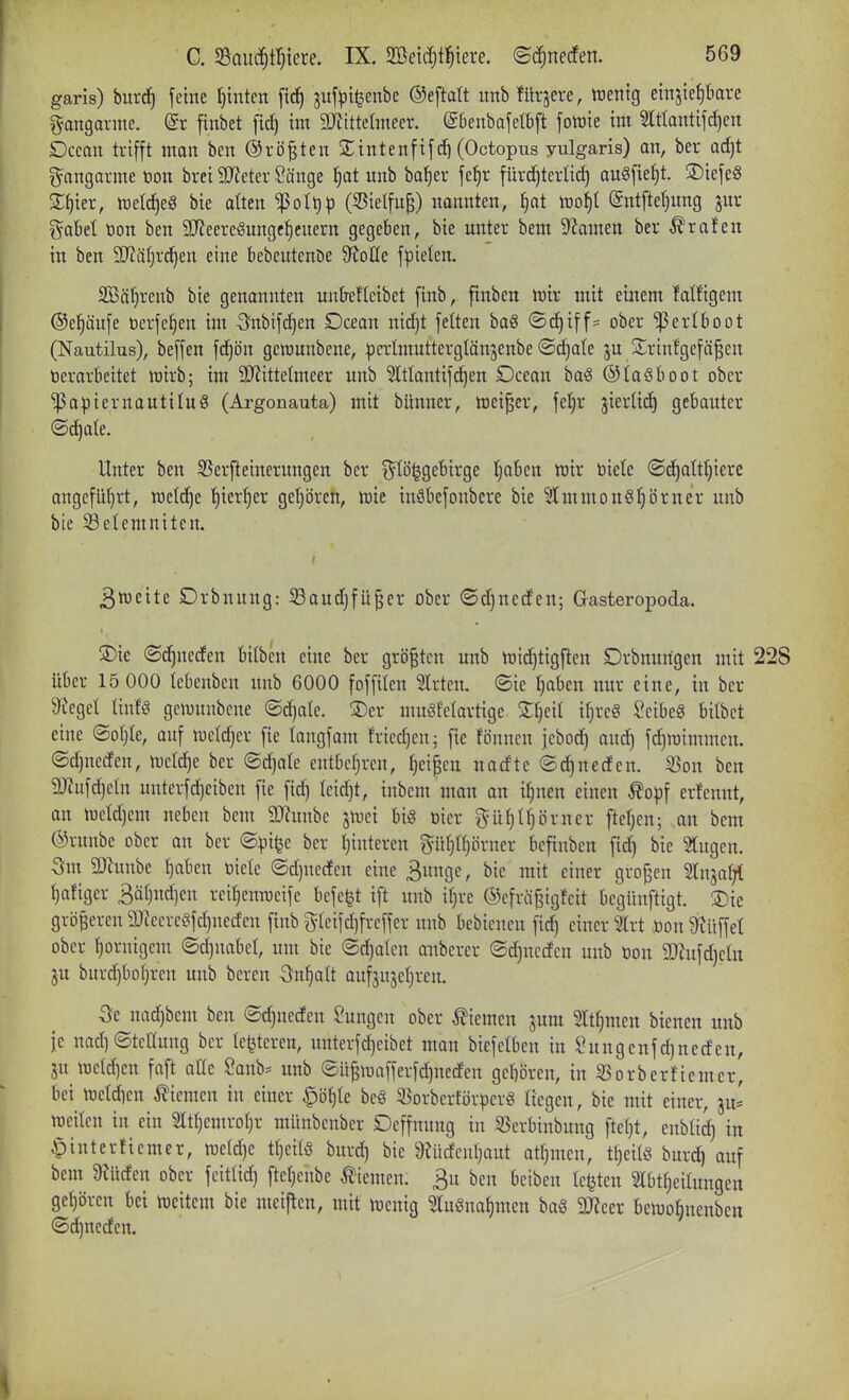 garis) burc^ feine ^inten fic^ 3uf)3i|enbe ©eftatt unb für^ere, toetttg einziehbare f^angorute. finbet fic^ im 9JJitteImeer. ©Denbafetbft fotüie im Stttantifd^en Dccan trifft man bcn ©rij^ten 2:intenfifcf) (Octopus yulgaris) an, ber ad)t f^angarme öon brci SDZeter Sänge ^at unb ba^er fe()r fürchterlich anöfie^t. ©iefeS 2;hier, rtetcheS bie atten ^ol^p (^ielfu^) nannten, ^)at mi)[ (Sntftehung jur ^aM öon ben 9}JeereSunget)euern gegeben, bie unter bem dlamtn ber trafen in ben 3J?ährchen eine bebeutenöe Spotte fpielen. Sßährenb bie genannten unbetleibet finb, finben toix mit einem fälligem ©ehäufe üerfehen im Sfubifc^en Dcean nic^t feiten ba§ ©^iff= ober »Perlboot (Nautilus), beffen fd^ön getüunbene, pcrtmuttergtänsenbe ©d^ate ^u S^rinfgefä^cn öerorbeitet lüirb; im 9}iittetmeer unb ^ttantifchen Dcean baö ©laöboot ober '^apiernautiluS (Argonauta) mit bünner, luei^cr, feljr jierticE) gebauter ©c^ate. Unter ben S3erfteinerungen ber t5^ti)^gebirge haben wir tiiete ©i^atthiere angeführt, welche hierher gehören, wie inöbefonbcre bie ^mmon§hör*ner unb bie S3etemniten. 3weite Drbnung: Saudjfü^cr ober ©djueden; Gasteropoda. ®ie ©chnecfen bitbcu eine ber grij§ten unb widjtigflen Drbnungen mit 228 über 15 000 Icbenben unb 6000 foffilen SIrten. ©ie haben nur eine, in ber 9JegeI linfö gewunbene ©chale. ®er muSfelartige 2;heil ihrcg $?eibeS bitbet eine ©ohle, auf welcher fie langfam h-iedjenj fie fönncn jebod) and) fdjwimmen. @d)neden, welche ber ©chale entbehren, heilen nadte ©^neden. iBon ben S}iufd)cln unterfd)eiben fie fid) leicht, inbem man an ihnen einen ^o^3f erfennt, an Wcld)em neben bem 9}?unbe jwei big öier gühthörner ftehen; an bem ©runbe ober an ber ©pitje ber hinteren ^^ühthörner bcfinben fid) bie klugen. 9)cunbe haben öiete ©djueden eine S^nge, bie mit einer großen 'än^ai^ haügcr 3ähnd)cn reihenroeife befe^t ift unb ihre ©efrii^igfeit begünftigt. !Die größeren 9JJecregfd)neden finb ^^teifdifreffer unb bebienen fi^ einer 2lrt öon 9tüffet ober hornigem ©d)nabel, um bie ©chalen auberer ©chncden unb öon 2Jiufd)cIn ju burd)bohren unb bereu 3fnhalt aufjujehren. 3fe nad)bem bcn ©chneden Hungen ober Siemen jum 2Ithmen bienen unb ie nad)©tcaung ber leijteren, unterfd)eibet man biefclben in Sungenfd)neden, ju wcld)en faft a£(e Sanb= unb ©ü^wafferfchneden gehören, in 35orberfiemer, bei wetdjen Siemen in einer §öhte be§ 95orberför^crg liegen, bie mit einer, ju^ weiten in ein 5Ithcmrohr münbcnbcr Deffnung in 53erbinbung fteht, enbüdh i« ^interfiemer, weld)c theitS burd) bie 9?üdenhaut athmen, theilö burd) auf bem 9?üden ober fcitlid) ftehenbe Siemen. 3u ben beiben legten 5lbtheitungen gehören bei weitem bie mcij^en, mit wenig ^uönahmen baö 5meer bewohnenbcn ©chncden.