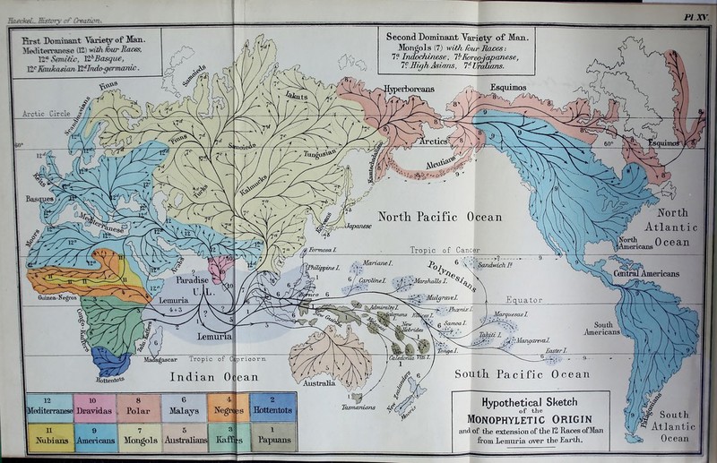 Bistcrw er' Creation*. PIXY. Tirst Dominant 'Varied of Man. Mediterranese (121 with four Races, 12* Semitic, ^Basque, X1S Kaukasiiin 12 ‘ilndoqermanic. Jy-ff*) . . -M Ar ctic C ir ck^/w fi / W7 Ji/s£r\ a Base (?VC\ v w c^m k Second Dominant Variety of Man. Mongols (7) with four i 7? In&chmese, 7lJ Korea-, 7?SighAsians, ldTJm [yperboreans j ^ il /j 1'Japanese Esquirnos i*w (? Formosa. 1. Nortli Pacific Ocean Tropic of Cancer Vppinel. Marianel. -->2- .... . • C. • '•Marshoils 1. V Hottento'S’ 12 10 8 6 4.S 2 1 Mediterranese 1 Dravidas Polar Malays j Negro 5S Hottentots 1 n 9 7 I 5 3 l I; Nubians Americans Mongols 1 Australians 1 Kaffi •s Papuans Australia \ y \ ; \A J it b Marquesas! ...Mew cVr a Samoa I. >rides , . „ , 1 V VT7-0 Tahiti L ' '• ’ ^nMangareval. TasterI. ST Tasmanians Equator South Americans' 7© South. Pacific Ocean Hypothetical Sketch of the Monophyletic origin and of the extension of the 12 Races ofMan from hemuria over the Earth. a A A#0 South Atlanti c Ocean