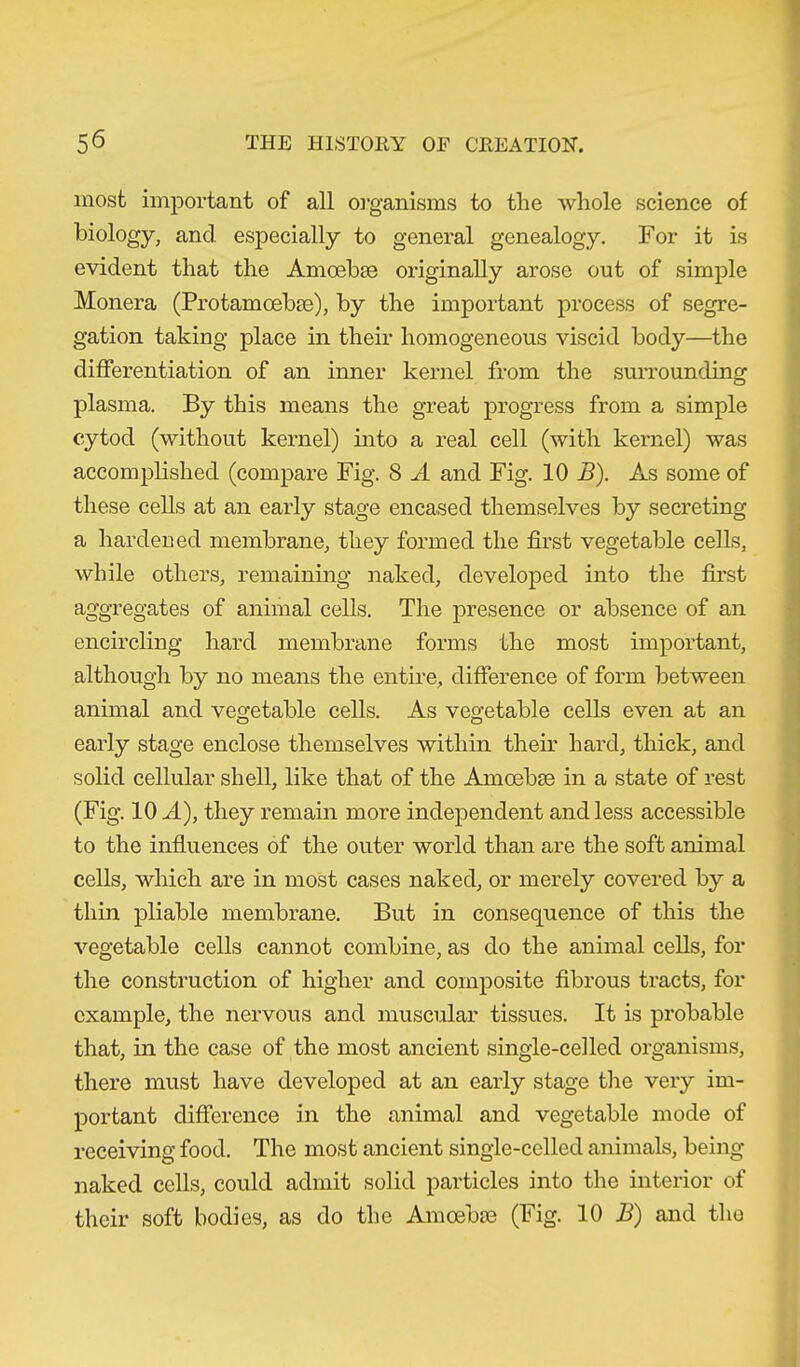 most important of all organisms to the whole science of biology, and especially to general genealogy. For it is evident that the Amoebae originally arose out of simple Monera (Protamcebae), by the important process of segre- gation taking place in their homogeneous viscid body—the differentiation of an inner kernel from the surrounding plasma. By this means the great progress from a simple cytod (without kernel) into a real cell (with kernel) was accomplished (compare Fig. 8 A and Fig. 10 B). As some of these cells at an early stage encased themselves by secreting a hardened membrane, they formed the first vegetable cells, while others, remaining naked, developed into the first aggregates of animal cells. The presence or absence of an encircling hard membrane forms the most important, although by no means the entire, difference of form between animal and vegetable cells. As vegetable cells even at an early stage enclose themselves within their hard, thick, and solid cellular shell, like that of the Amoebae in a state of rest (Fig. 10 A), they remain more independent and less accessible to the influences of the outer world than are the soft animal cells, which are in most cases naked, or merely covered by a thin pliable membrane. But in consequence of this the vegetable cells cannot combine, as do the animal cells, for the construction of higher and composite fibrous tracts, for example, the nervous and muscular tissues. It is probable that, in the case of the most ancient single-celled organisms, there must have developed at an early stage the very im- portant difference in the animal and vegetable mode of receiving food. The most ancient single-celled animals, being- naked cells, could admit solid particles into the interior of their soft bodies, as do the Amoebae (Fig. 10 B) and the