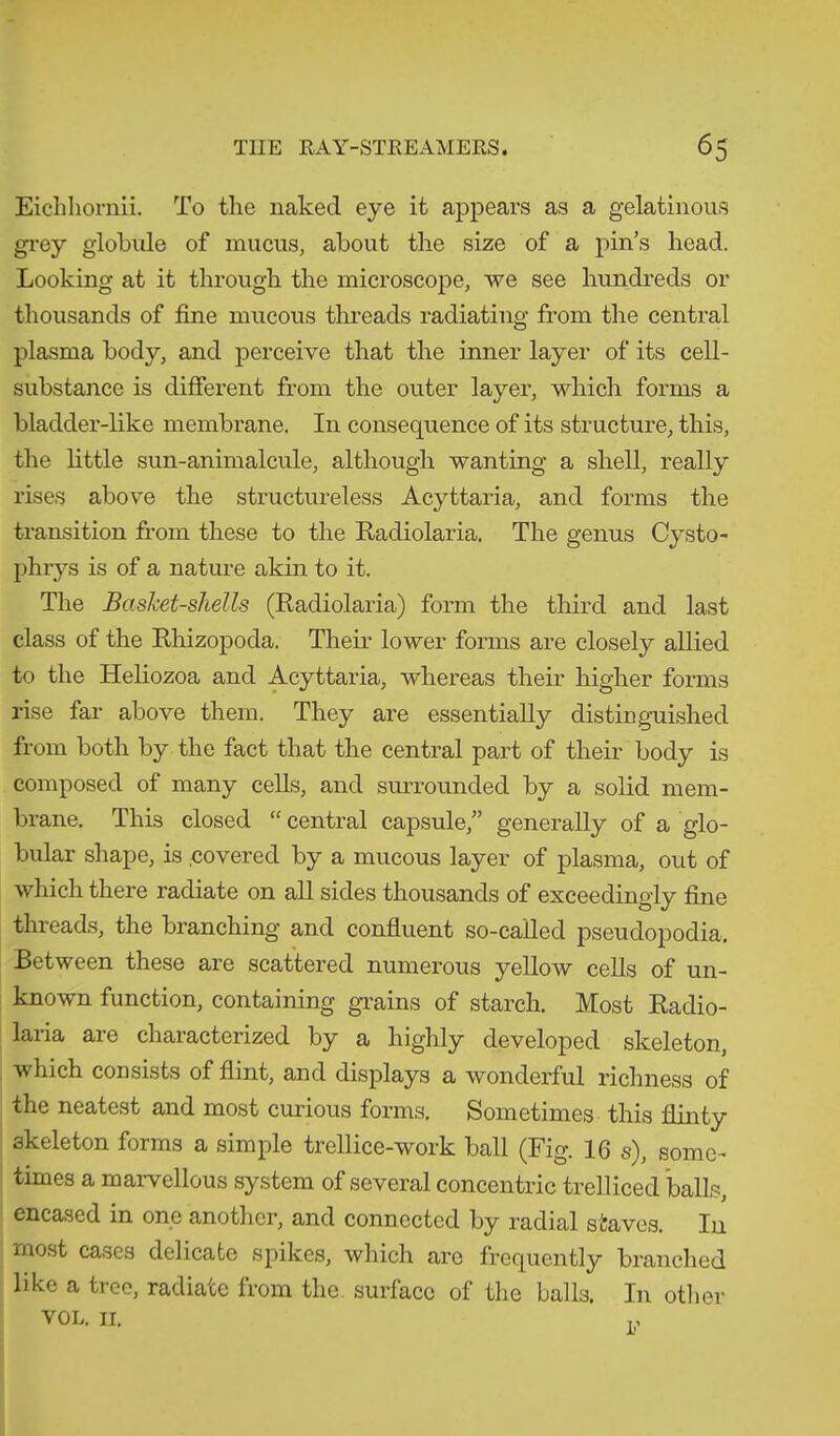 Eichhornii. To the naked eye it appears as a gelatinous grey globule of mucus, about the size of a pin’s head. Looking at it through the microscope, we see hundreds or thousands of fine mucous threads radiating from the central plasma body, and perceive that the inner layer of its cell- substance is different from the outer layer, which forms a bladder-like membrane. In consequence of its structure, this, the little sun-animalcule, although wanting a shell, really rises above the structureless Acyttaria, and forms the transition from these to the Radiolaria. The genus Cysto- phrys is of a nature akin to it. The Basket-shells (Radiolaria) form the third and last class of the Rhizopoda. Their lower forms are closely allied to the Heliozoa and Acyttaria, whereas their higher forms rise far above them. They are essentially distinguished from both by the fact that the central part of their body is composed of many cells, and surrounded by a solid mem- brane. This closed “ central capsule,” generally of a glo- bular shape, is .covered by a mucous layer of plasma, out of which there radiate on all sides thousands of exceedingly fine threads, the branching and confluent so-called pseudopodia. Between these are scattered numerous yellow cells of un- ction, containing grains of starch. Most Radio- laria are characterized by a highly developed skeleton, which consists of flint, and displays a wonderful richness of the neatest and most curious forms. Sometimes this flinty skeleton forms a simple trellice-work ball (Fig. 16 s), some- times a marvellous system of several concentric trelliced balls, encased in one another, and connected by radial staves. In most cases delicate spikes, which are frequently branched like a tree, radiate from the surface of the balls. In other VOL. II. „