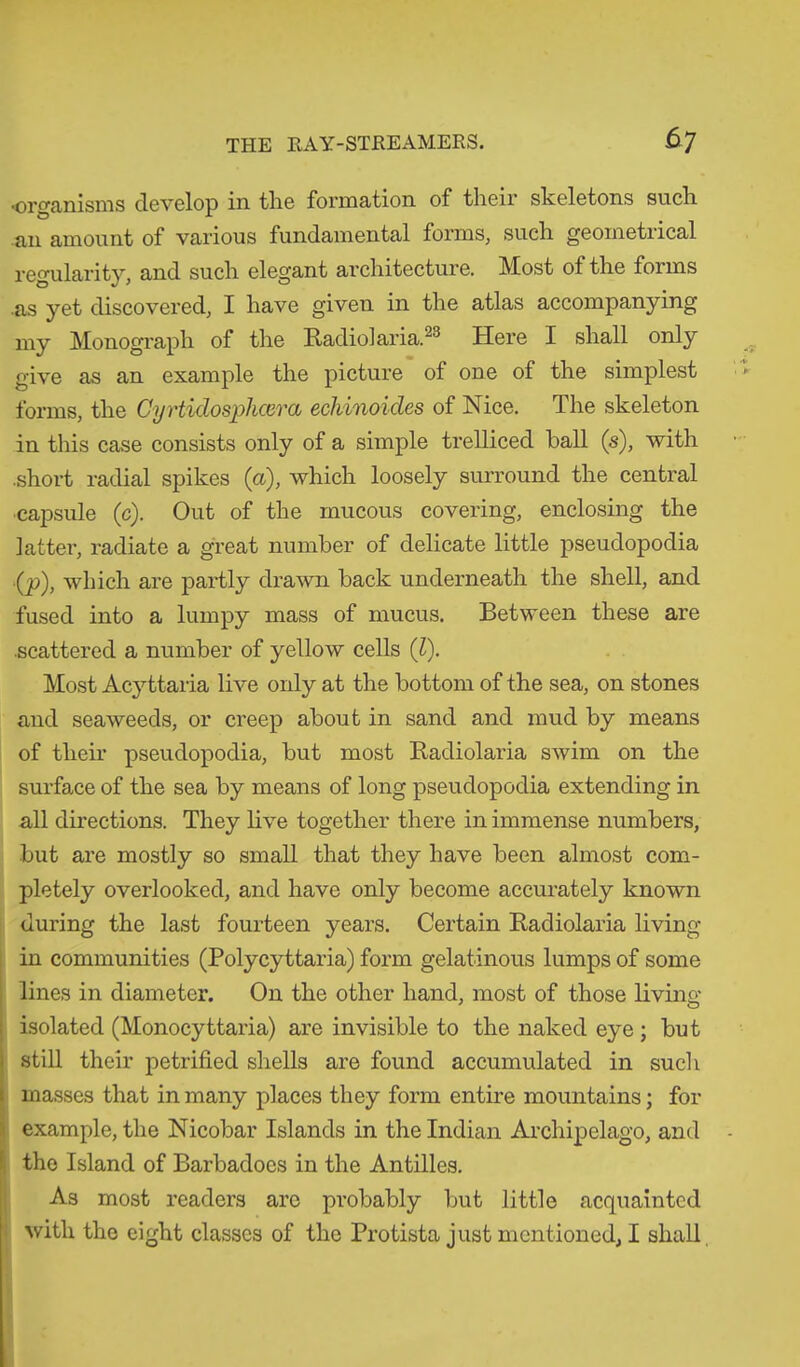•organisms develop in the formation of their skeletons such .an amount of various fundamental forms, such geometrical regularity, and such elegant architecture. Most of the forms as yet discovered, I have given in the atlas accompanying my Monograph of the Radiol aria.23 Here I shall only give as an example the picture of one of the simplest forms, the Cyrtidosphcera echinoides of Nice. The skeleton in this case consists only of a simple trelliced ball (s), with .short radial spikes (a), which loosely surround the central ■capsule (c). Out of the mucous covering, enclosing the latter, radiate a great number of delicate little pseudopodia (p), which are partly drawn back underneath the shell, and fused into a lumpy mass of mucus. Between these are •scattered a number of yellow cells (l). Most Acyttaria live only at the bottom of the sea, on stones and seaweeds, or creep about in sand and mud by means of their pseudopodia, but most Radiolaria swim on the surface of the sea by means of long pseudopodia extending in all directions. They live together there in immense numbers, but are mostly so small that they have been almost com- pletely overlooked, and have only become accurately known during the last fourteen years. Certain Radiolaria living in communities (Polycyttaria) form gelatinous lumps of some lines in diameter. On the other hand, most of those living- isolated (Monocyttaria) are invisible to the naked eye; but still their petrified shells are found accumulated in such masses that in many places they form entire mountains; for example, the Nicobar Islands in the Indian Archipelago, and the Island of Barbadoes in the Antilles. As most readers are probably but little acquainted with the eight classes of the Protista just mentioned, I shall,