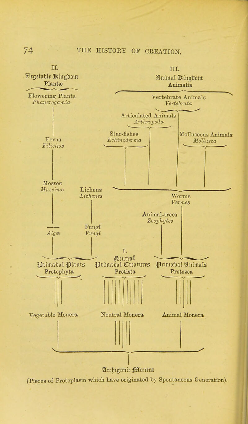 II. Hrgetablc lotingboiit Plantee Flowering Planta Phanerogamia III. Animal läütgbom Animalia Vertebrate Animals Vertebrata Articulated Animals Arthropoda Ferns Filicinca Mosses Muscince Algce Lichens Lichenes Fungi Fungi Molluscous Animals Mollusca Worms Vermes Animal-trees Zoophytes Prima'bal plants Protophyta I. iPeutral Pvimdial (Creatures ^rnn ab a I Animals Protista Protozoa Vegetable Monera Neutral Monera Animal Monera Srcljipmc fUonera (Pieces of Protoplasm which have originated by Spontaneous Generation).