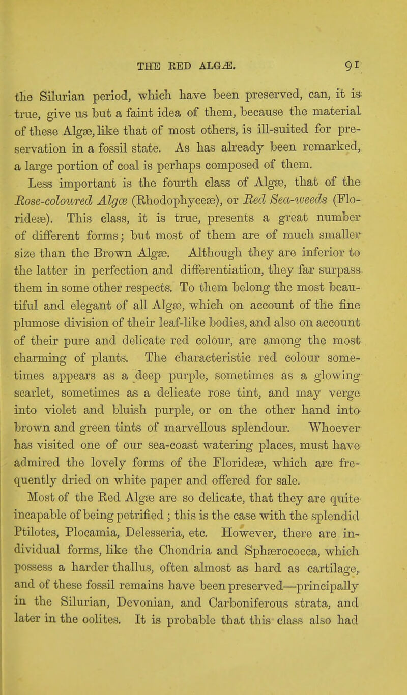 the Silurian period, which, have been preserved, can, it is true, give us but a faint idea of them, because the material of these Algae, like that of most others, is ill-suited for pre- servation in a fossil state. As has already been remarked, a large portion of coal is perhaps composed of them. Less important is the fourth class of Algae, that of the Rose-coloured Algce (Rhodophyceae), or Red Sea-iueeds (Flo- rideae). This class, it is true, presents a great number of different forms; but most of them are of much smaller size than the Brown Algae. Although they are inferior to the latter in perfection and differentiation, they far surpass them in some other respects. To them belong the most beau- tiful and elegant of all Algae, which on account of the fine plumose division of their leaf-like bodies, and also on account of their pure and delicate red colour, are among the most charming of plants. The characteristic red colour some- times appears as a deep purple, sometimes as a glowing- scarlet, sometimes as a delicate rose tint, and may verge into violet and bluish purple, or on the other hand into brown and green tints of marvellous splendour. Whoever has visited one of our sea-coast watering places, must have admired the lovely forms of the Floridese, which are fre- quently dried on white paper and offered for sale. Most of the Red Algm are so delicate, that they are quite incapable of being petrified ; this is the case with the splendid Ptilotes, Plocamia, Delesseria, etc. However, there are in- dividual forms, like the Chondria and Sphrerococca, which possess a harder thallus, often almost as hard as cartilage, and of these fossil remains have been preserved—principally in the Silurian, Devonian, and Carboniferous strata, and later in the oolites. It is probable that this class also had