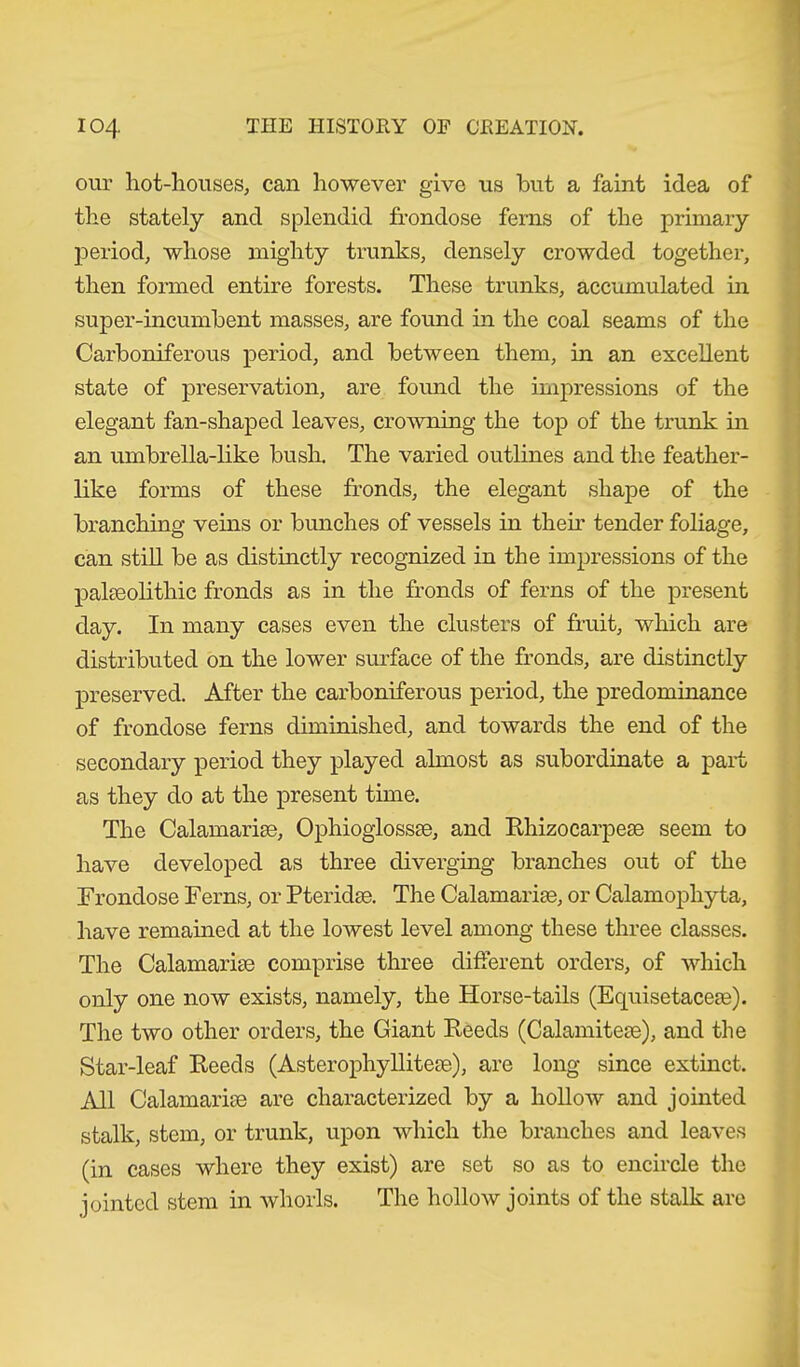 our hot-houses, can however give us but a faint idea of the stately and splendid frondose ferns of the primary period, whose mighty trunks, densely crowded together, then formed entire forests. These trunks, accumulated in super-incumbent masses, are found in the coal seams of the Carboniferous period, and between them, in an excellent state of preservation, are found the impressions of the elegant fan-shaped leaves, crowning the top of the trunk in an umbrella-like bush. The varied outlines and the feather- like forms of these fronds, the elegant shape of the branching veins or bunches of vessels in then' tender foliage, can still be as distinctly recognized in the impressions of the palaeolithic fronds as in the fronds of ferns of the present day. In many cases even the clusters of fruit, which are distributed on the lower surface of the fronds, are distinctly preserved. After the carboniferous period, the predominance of frondose ferns diminished, and towards the end of the secondary period they played almost as subordinate a part as they do at the present time. The Calamariae, Ophioglossse, and Rhizocarpese seem to have developed as three diverging branches out of the Frondose Ferns, or Pteridse. The Calamarias, or Calamophyta, have remained at the lowest level among these three classes. The Calamarise comprise three different orders, of which only one now exists, namely, the Horse-tails (Equisetacem). The two other orders, the Giant Reeds (Calamitese), and the Star-leaf Reeds (Asterophyllitese), are long since extinct. All Calamariee are characterized by a hollow and jointed stalk, stem, or trunk, upon which the branches and leaves (in cases where they exist) are set so as to encircle the jointed stem in whorls. The hollow joints of the stalk are