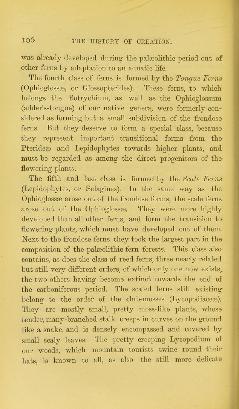 was already developed during the palseolithic period out of other ferns by adaptation to an aquatic life. The fourth class of ferns is formed by the Tongue Ferns (Ophioglossse, or Glossopterides). These ferns, to which belongs the Botrychium, as well as the Ophioglossum (adder’s-tongue) of our native genera, were formerly con- sidered as forming but a small subdivision of the frondose ferns. But they deserve to form a special class, because they represent important transitional forms from the Pteridese and Lepidophytes towards higher plants, and must be regarded as among the direct progenitors of the flowering plants. The fifth and last class is formed by the Scale Ferns (Lepidophytes, or Selagines). In the same way as the Ophioglossse arose out of the frondose forms, the scale ferns arose out of the Ophioglossse. They were more highly developed than all other ferns, and form the transition to- flowering plants, which must have developed out of them. Next to the frondose ferns they took the largest part in the composition of the palseolithic fern forests. This class also contains, as does the class of reed ferns, three nearly related but still very different orders, of which only one now exists,, the two others having become extinct towards the end of the carboniferous period. The scaled ferns still existing* belong to the order of the club-mosses (Lycopodiacese). They are mostly small, pretty moss-like plants, whose tender, many-branched stalk creeps in curves on the ground like a snake, and is densely encompassed and covered by small scaly leaves. The pretty creeping Lycopodium of our woods, which mountain tourists twine round their hats, is known to all, as also the still more delicate ___