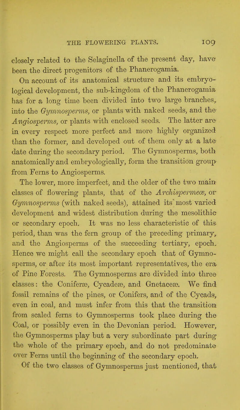 closely related to the Selaginella of the present day, have been the direct progenitors of the Phanerogamia. On account of its anatomical structure and its embryo- logical development, the sub-kingdom of the Phanerogamia has for a long time been divided into two large branches, into the Gymnosperms, or plants with naked seeds, and the Angiosperms, or plants with enclosed seeds. The latter are in every respect more perfect and more highly organized than the former, and developed out of them only at a late date during the secondary period. The Gymnosperms, both anatomically and embryologically, form the transition group from Ferns to Angiosperms. The lower, more imperfect, and the older of the two main classes of flowering plants, that of the Archispermece, or Gymnosperms (with naked seeds), attained its most varied development and widest distribution during the mesolithic or secondary epoch. It was no less characteristic of this, period, than was the fern group of the preceding primary, and the Angiosperms of the succeeding tertiary, epoch. Hence we might call the secondary epoch that of Gymno- sperms, or after its most important representatives, the era- of Pine Forests. The Gymnosperms are divided into three classes: the Coniferae, Cycadeae, and Gnetaceae. We find fossil remains of the pines, or Conifers, and of the Cycads, even in coal, and must infer from this that the transition from scaled ferns to Gymnosperms took place during the Coal, or possibly even in the Devonian period. However, the Gymnosperms play but a very subordinate part during the whole of the primary epoch, and do not predominate over Ferns until the beginning of the secondary epoch. Of the two classes of Gymnosperms just mentioned, that