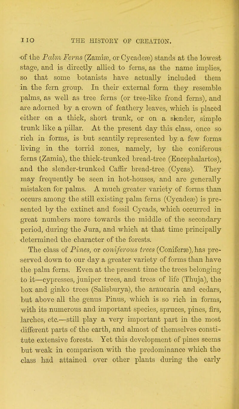 of ihe Palm Ferns (Zamise, or Cycadese) stands at the lowest stage, and is directly allied to ferns, as the name implies, so that some botanists have actually included them in the fern group. In their external form they resemble palms, as well as tree ferns (or tree-like frond ferns), and are adorned by a crown of feathery leaves, which is placed either on a thick, short trunk, or on a slender, simple trunk like a pillar. At the present day this class, once so rich in forms, is but scantily represented by a few forms living in the torrid zones, namely, by the coniferous ferns (Zamia), the thick-trunked bread-tree (Encephalartos), and the slender-trunked Caffir bread-tree (Cycas). They may frequently be seen in hot-houses, and are generally mistaken for pahns. A much greater variety of forms than occurs among the still existing palm ferns (Cycadeae) is pre- sented by the extinct and fossil Cycads, which occurred in great numbers more towards the middle of the secondary period, during the Jura, and which at that time principally determined the character of the forests. The class of Pines, or coniferous trees (Coniferse), has pre- served down to our day a greater variety of forms than have the palm ferns. Even at the present time the trees belonging to it—cypresses, juniper trees, and trees of life (Thuja), the box and ginko trees (Salisburya), the araucaria and cedars, but above all the genus Pinus, which is so rich in forms, with its numerous and important species, spruces, pines, firs, larches, etc.—still play a very important part in the most different parts of the earth, and almost of themselves consti- tute extensive forests. Yet this development of pines seems but weak in comparison with the predominance which the class had attained over other plants during the early