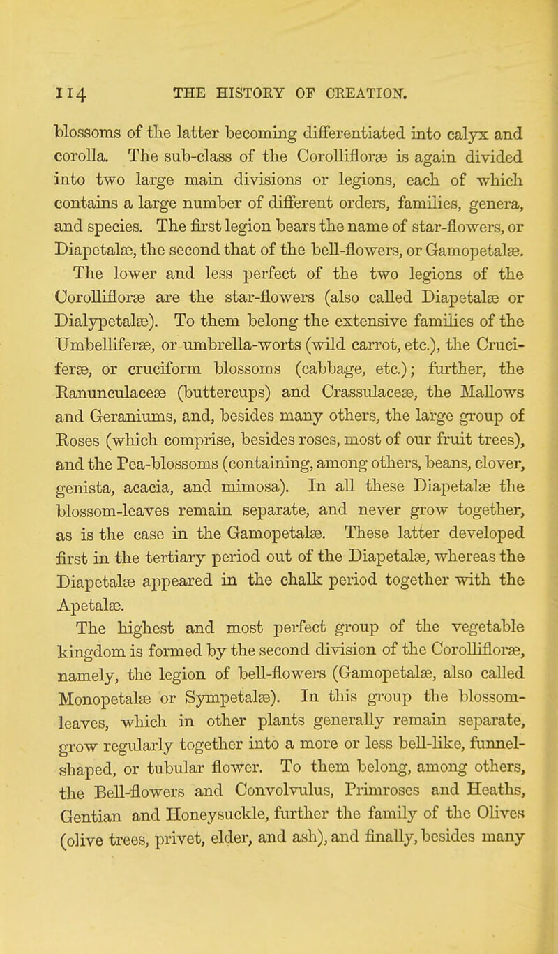 blossoms of the latter becoming differentiated into calyx and corolla. The sub-class of the Corollifloroe is again divided into two large main divisions or legions, each of which contains a large number of different orders, families, genera, and species. The first legion bears the name of star-flowers, or Diapetalse, the second that of the bell-flowers, or Gamopetalse. The lower and less perfect of the two legions of the Oorolliflorse are the star-flowers (also called Diapetalse or Dialypetalse). To them belong the extensive families of the Umbelliferse, or umbrella-worts (wild carrot, etc.), the Cruci- ferse, or cruciform blossoms (cabbage, etc.); further, the Ranunculacese (buttercups) and Crassulacese, the Mallows and Geraniums, and, besides many others, the large group of Doses (which comprise, besides roses, most of our fruit trees), and the Pea-blossoms (containing, among others, beans, clover, genista, acacia, and mimosa). In all these Diapetalse the blossom-leaves remain separate, and never grow together, as is the case in the Gamopetalse. These latter developed first in the tertiary period out of the Diapetalse, whereas the Diapetalse appeared in the chalk period together with the Apetalse. The highest and most perfect group of the vegetable kingdom is formed by the second division of the Corolliflorse, namely, the legion of bell-flowers (Gamopetalse, also called Monopetalse or Sympetalse). In this group the blossom- leaves, which in other plants generally remain separate, grow regularly together into a more or less bell-like, funnel- shaped, or tubular flower. To them belong, among others, the Bell-flowers and Convolvulus, Primroses and Heaths, Gentian and Honeysuckle, further the family of the Olives (olive trees, privet, elder, and ash), and finally, besides many