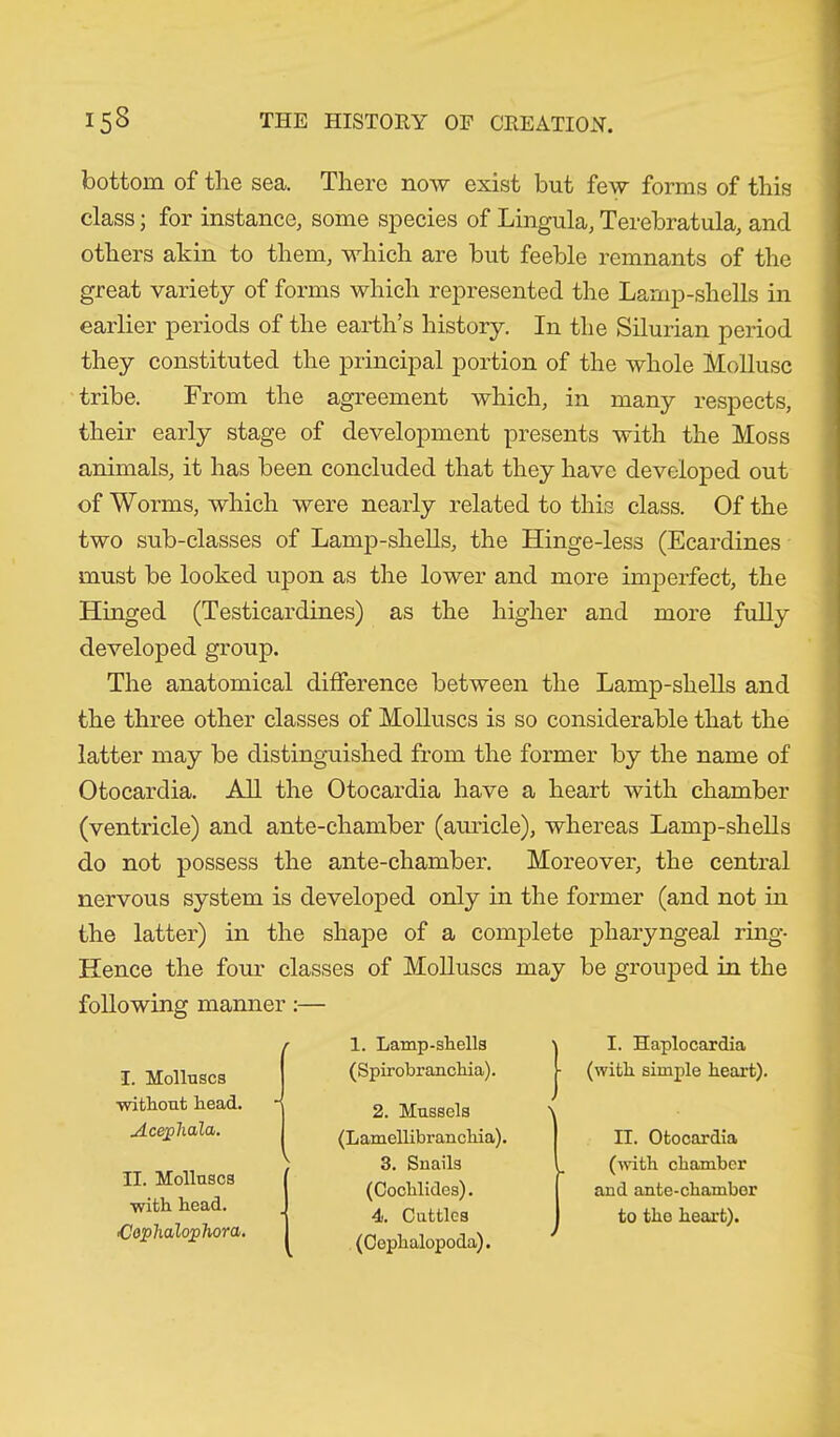 bottom of the sea. There now exist but few forms of this class; for instance, some species of Lingula, Terebratula, and others akin to them, which are but feeble remnants of the great variety of forms which represented the Lamp-shells in earlier periods of the earth’s history. In the Silurian period they constituted the principal portion of the whole Mollusc tribe. From the agreement which, in many respects, their early stage of development presents with the Moss animals, it has been concluded that they have developed out of Worms, which were nearly related to this class. Of the two sub-classes of Lamp-shells, the Hinge-less (Ecardines must be looked upon as the lower and more imperfect, the Hinged (Testicardines) as the higher and more fully developed group. The anatomical difference between the Lamp-shells and the three other classes of Molluscs is so considerable that the latter may be distinguished from the former by the name of Otocardia. All the Otocardia have a heart with chamber (ventricle) and ante-chamber (auricle), whereas Lamp-shells do not possess the ante-chamber. Moreover, the central nervous system is developed only in the former (and not in the latter) in the shape of a complete pharyngeal ring- Hence the four classes of Molluscs may be grouped in the following manner:— I. Molluscs without head. Acephala. II. Molluscs with head. {Jophalophora. 1. Lamp-shells ( Spir ohr anchia). 2. Mussels (Lamellibranchia). 3. Snails (Cochlides). 4. Cuttles (Cephalopoda). ' I. Haplocardia (with simple heart). II. Otocardia (with chamber and ante-chamber to the heart).