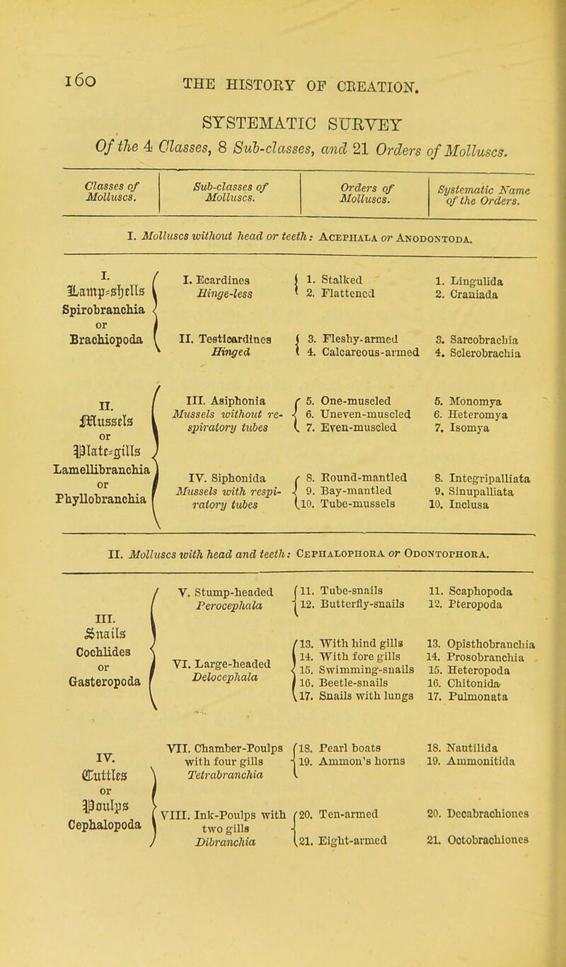 i6o SYSTEMATIC SURVEY Of the 4 Classes, 8 Sub-classes, and 21 Orders of Molluscs. Classes of Sub-classes of Orders of Systematic Name Molluscs. Molluscs. Molluscs. of the Orders. I. Molluscs without head or teeth: Acephala or Anodontoda. lLamy=sIjells Spirobranchia or Brachiopoda n. fHttssels or IPIatt^gtlls Lamellibranchia or Pbyllobrancbia I. Ecardines Hinge-less II. Testlcardlnes Hinged III. Asiphonia Mussels without re- spiratory tubes IV. Siphonida Mussels with respi- ratory tubes ( 1. Stalked * 2. Elattenccl 3. Flesby-armed 4. Calcareous-armed r 5. One-muscled -c 6. Uneven-muscled l 7. Even-muscled r 8. Eound-mantled I 9. Bay-mantled (lO. Tube-mussela 1. Lingulida 2. Craniada 3. Sarcobracliia 4. Sclerobrachia 5. Monomya 6. Heteromya 7. Isomya 8. Intcgripalliata 9. Sinupalliata 10. Inclusa II. Molluscs with head and teeth: Cepiialophora or Odontophora. / V. Stump-beaded I f 11. Tube-snails 11. Scaphopoda III. j & nails [ Perocephala ] 12. Butterfly-snails 12. Pteropoda Cocblides ‘ j VI. Large-headed f13. With hind gills 114. With fore gills 13. Opisthobraucliia 14. Prosobranchia or j 15. Swimming-snails 15. Heteropoda Gasteropoda I ' Delocephala 116. Beetle-snails 16. Chitonida ( ,17. Snails with lungs 17. Pulmonata IV. Whittles or VII. Chamber-Poulps j '18. Pearl boats 18. Nautilida with four gills -j \ Tetrabranchia ' 19. Ammon’s horns 19. Ammonitida IP ouly s Cephalopoda 1 VIII. Ink-Poulps with i 1 two gills I r20. Ten-armed 20. Dccabrachiones / Dibranchia ,21. Eight-armed 21. Octobrachioues