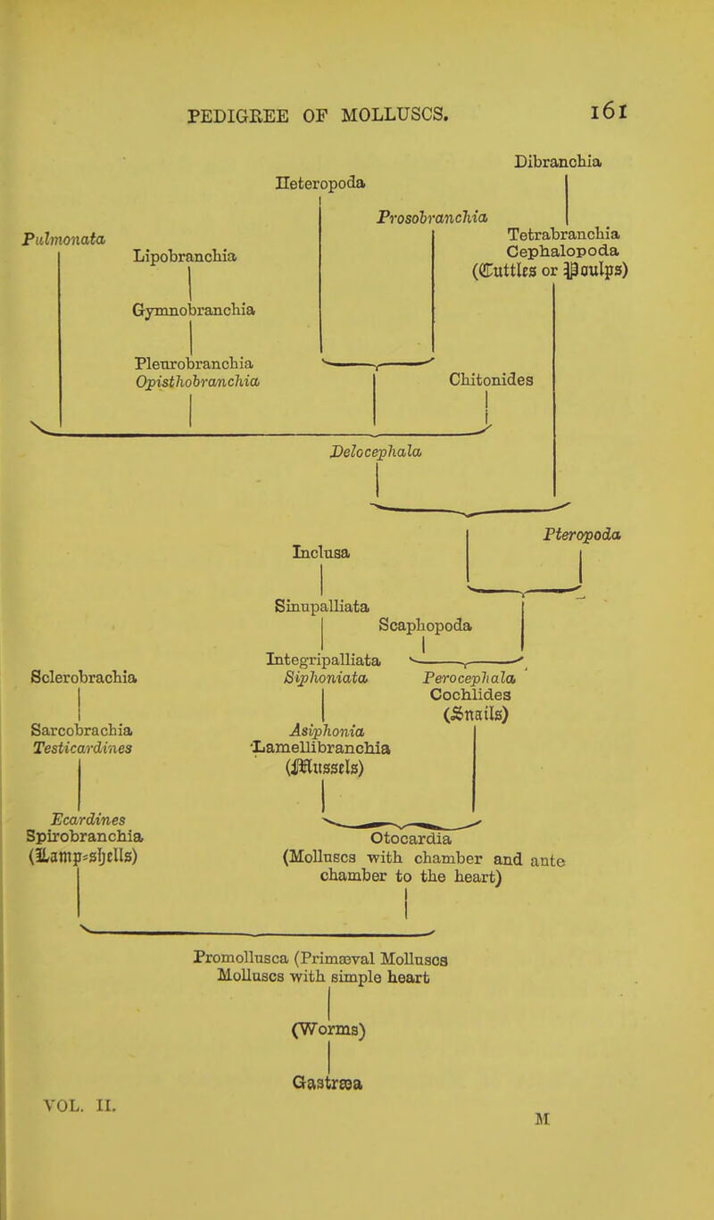 Dibranchia Heteropocla Pulmonata X. Lipobranchia Gymnobranchia Pleurobranchia Opisthobrcmchia, Prosobranchia, Tetrabrancbia Cephalopoda (Cuttles or ijßöulps) Sclerobracbia Sarcobrachia Testicardines Bear dines Spirobranchia (ILamp=sIjclls) Chitonides I i Pelocepliala Inclusa Sinupalliata Pteropoda Scapbopoda Integripalliata Siplioniata, Asiphonia •Lamellibrancbia (üSlussets) Perocephala Cochlides (Änails) Otocardia (Molluscs with chamber and ante chamber to the heart) I Promollusca (Primaeval Molluscs Molluscs with simple heart (W orms) Gastreea VOL. II.